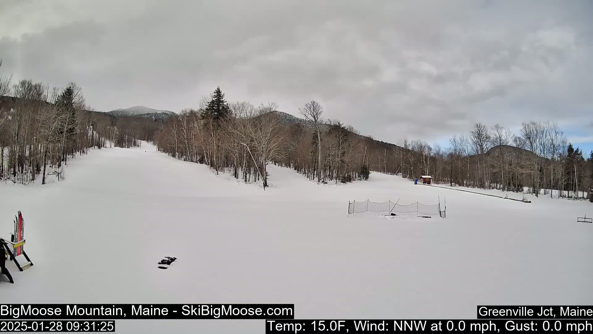 A snow-covered ski slope is seen on an overcast day, with bare trees and distant mountains in the background.
