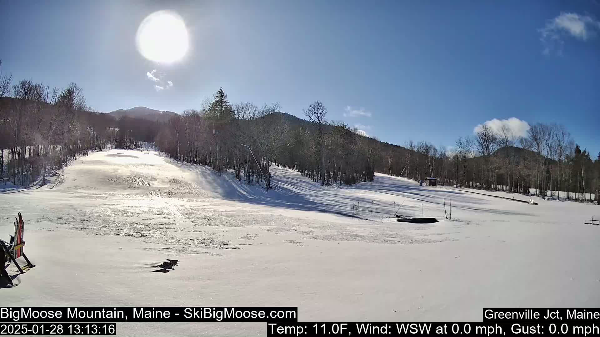 A sunny, snow-covered ski slope is seen with a few faint tracks and trees lining the sides of the hill under a mostly clear blue sky.