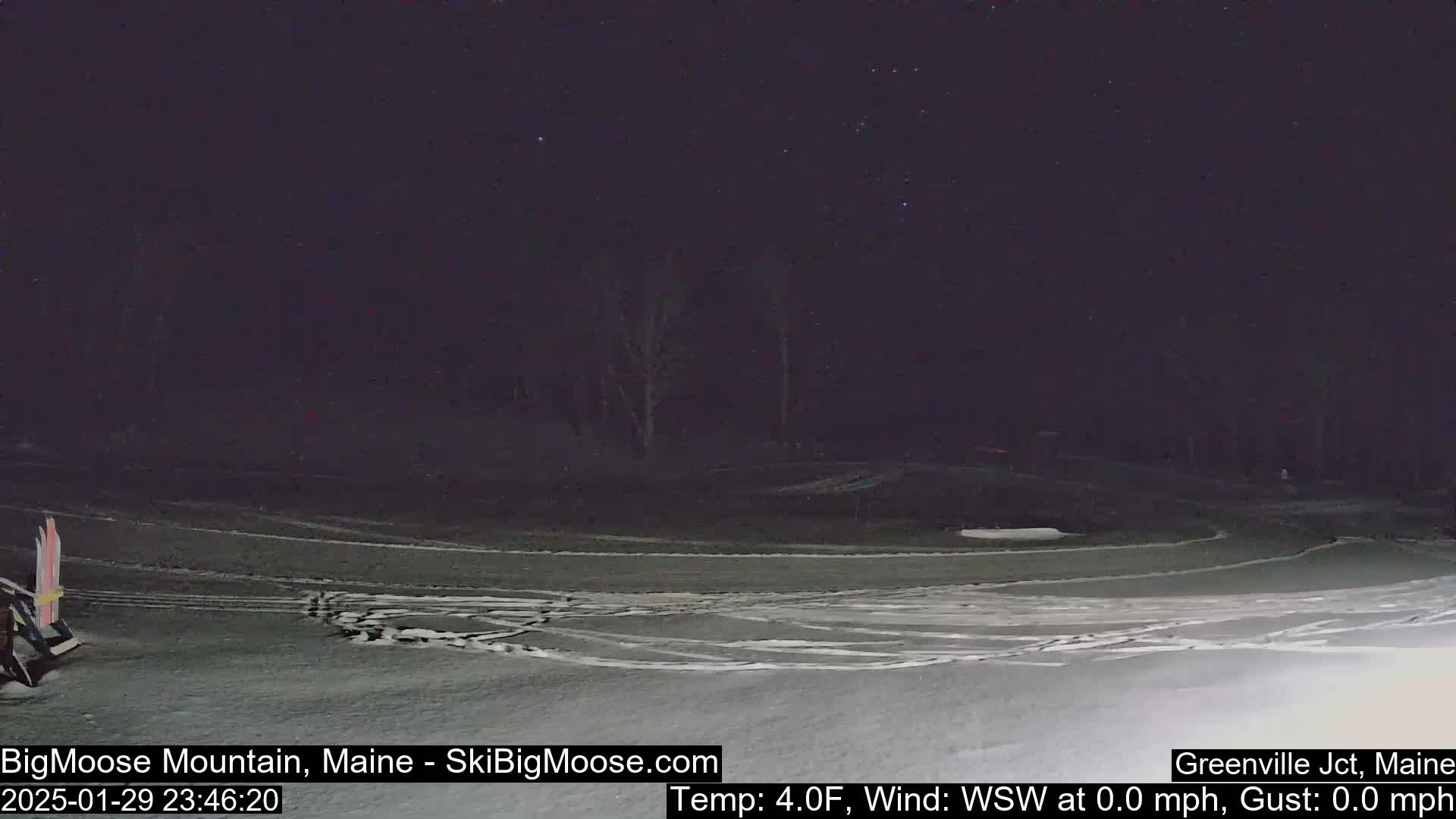 A snow-covered area at night with a few trees in the background under a clear, starry sky.