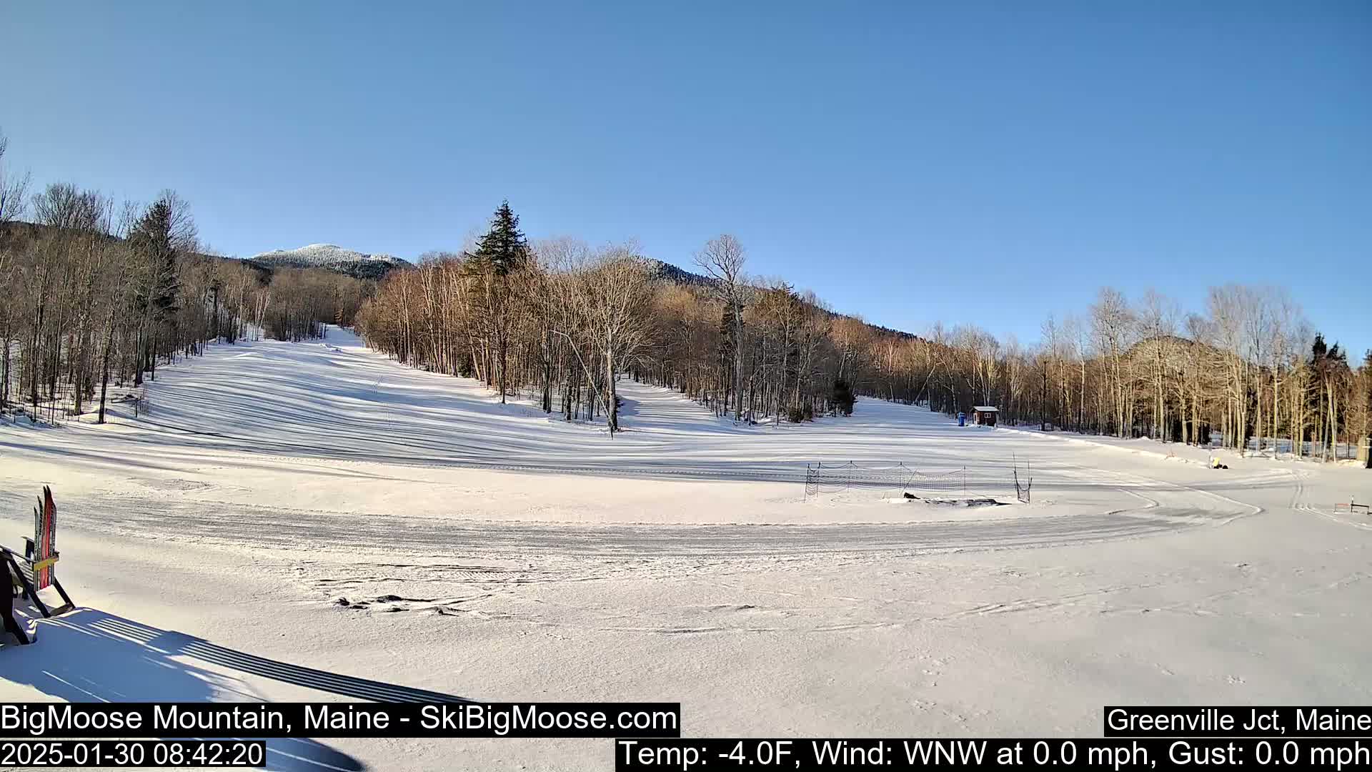 A snow-covered ski slope with barren trees and a mountain in the background under a clear blue sky.