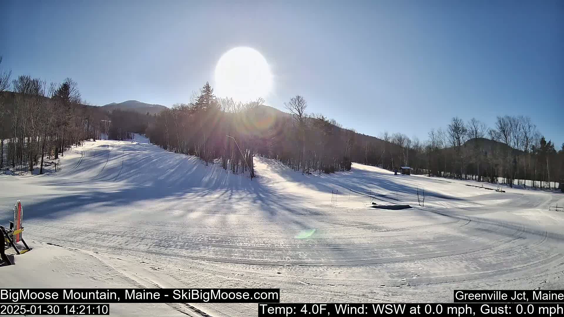 A sunny, snow-covered ski slope is nestled among bare trees and mountains under a clear blue sky.