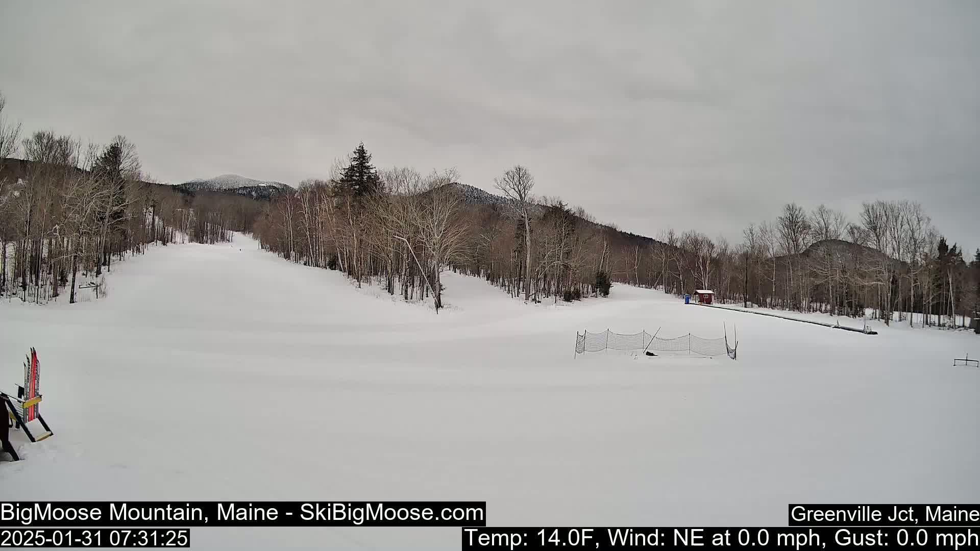 A snow-covered ski slope is visible under an overcast sky, with bare trees lining the hills in the background.