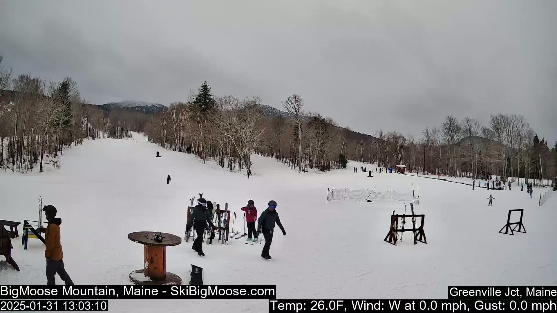 A snowy ski slope with several skiers and snowboarders, under an overcast sky.