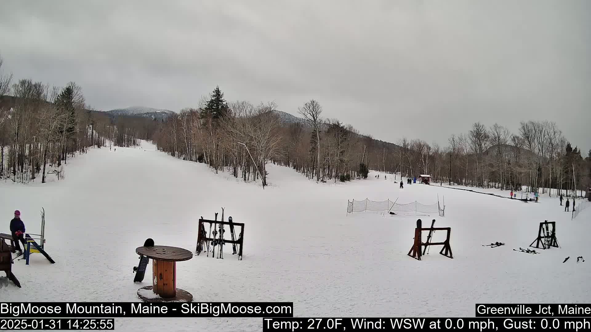 A snow-covered ski slope with several people skiing and snowboarding, under an overcast sky.