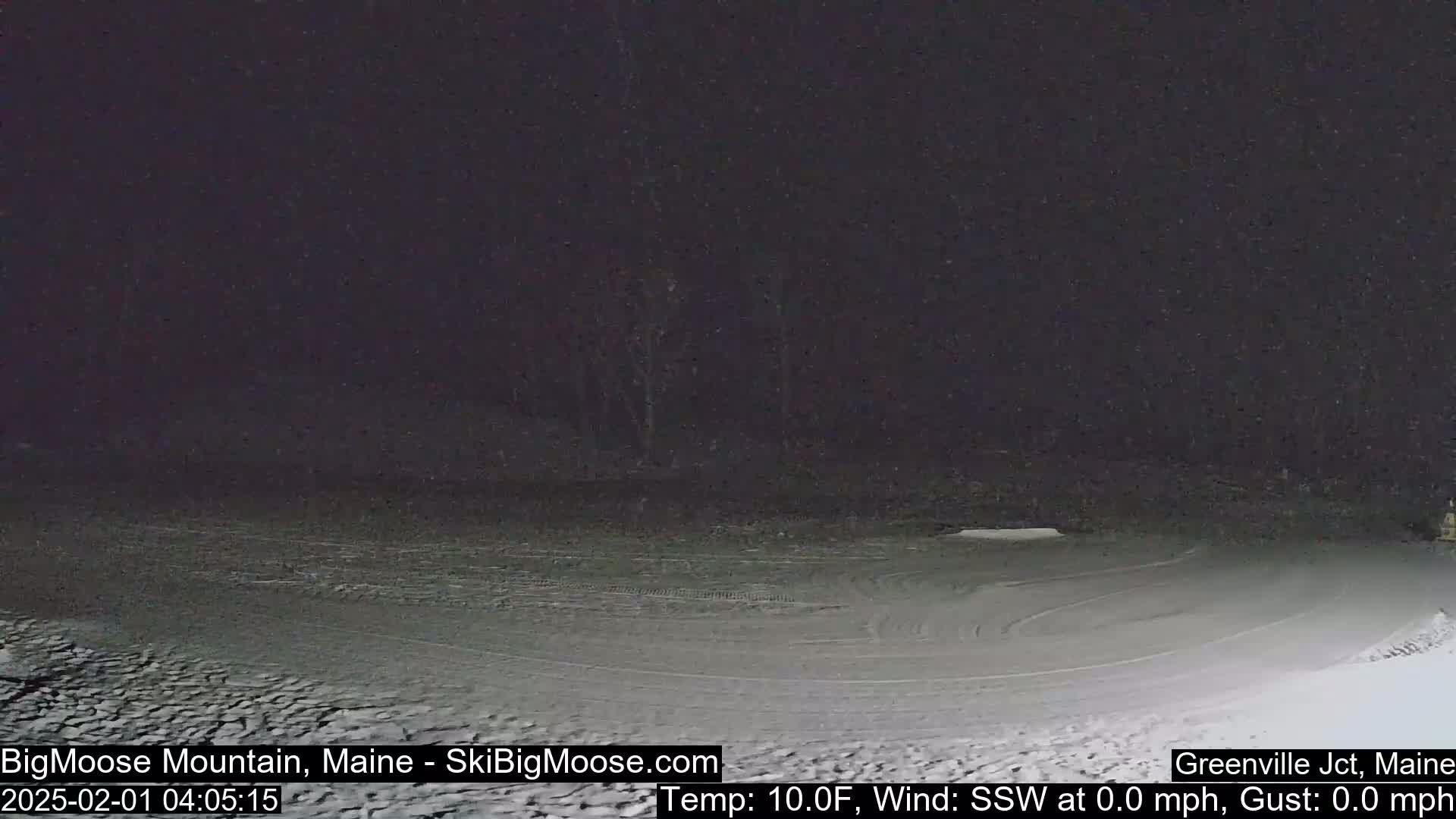 A snow-covered, dark area shows tire tracks under a night sky.
