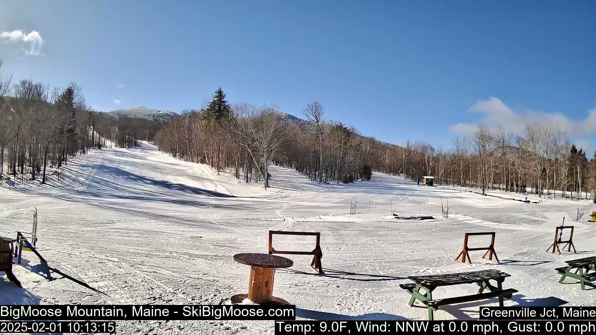 A snow-covered ski slope is visible, with leafless trees lining the background under a mostly sunny sky.