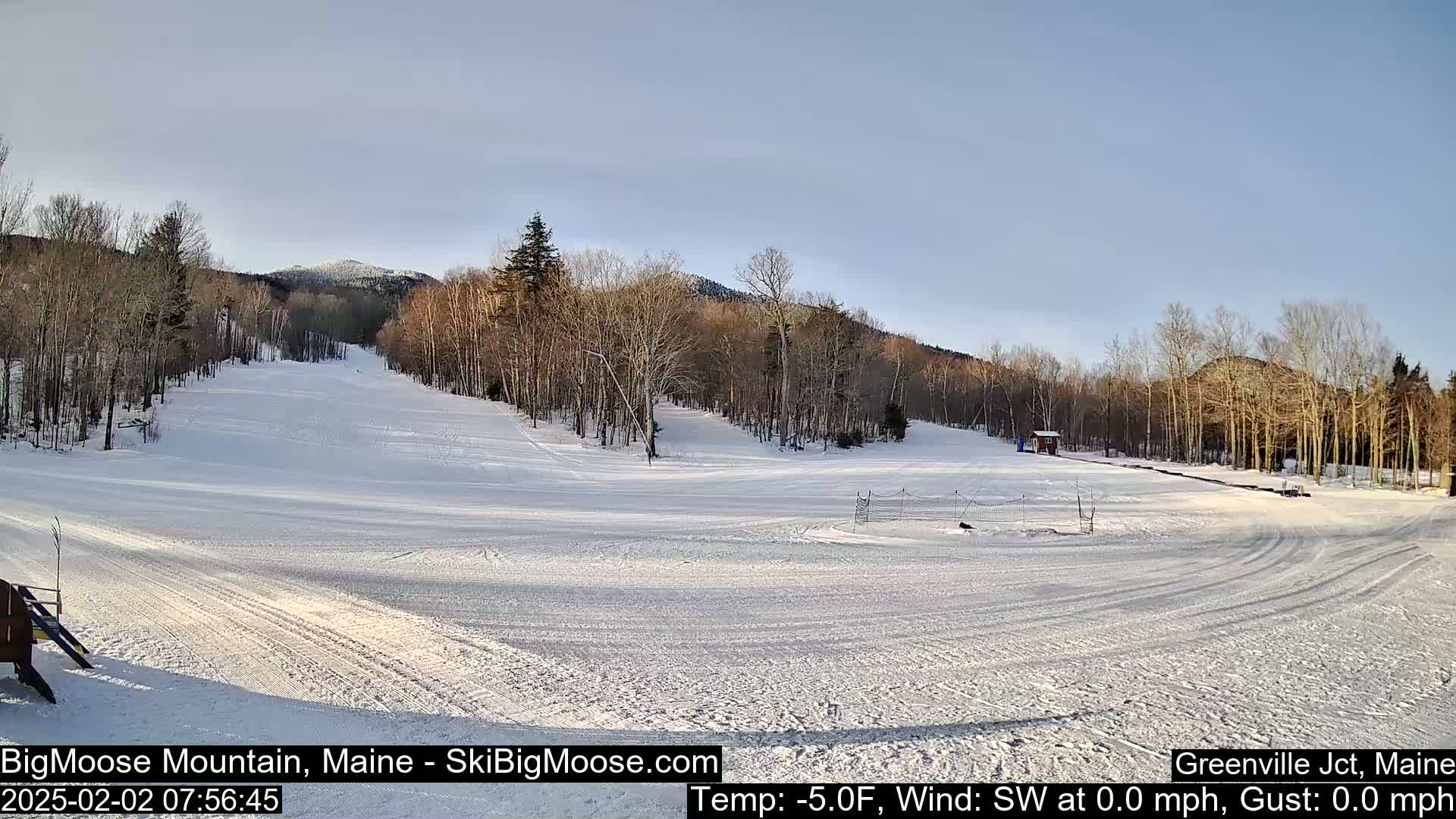 A snow-covered ski slope stretches towards a line of bare deciduous trees and snow-capped mountains under a clear, bright sky.