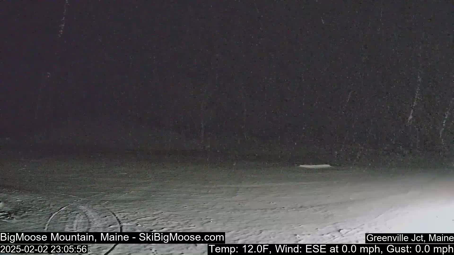 A snow-covered, dark landscape is lightly falling snow at night.