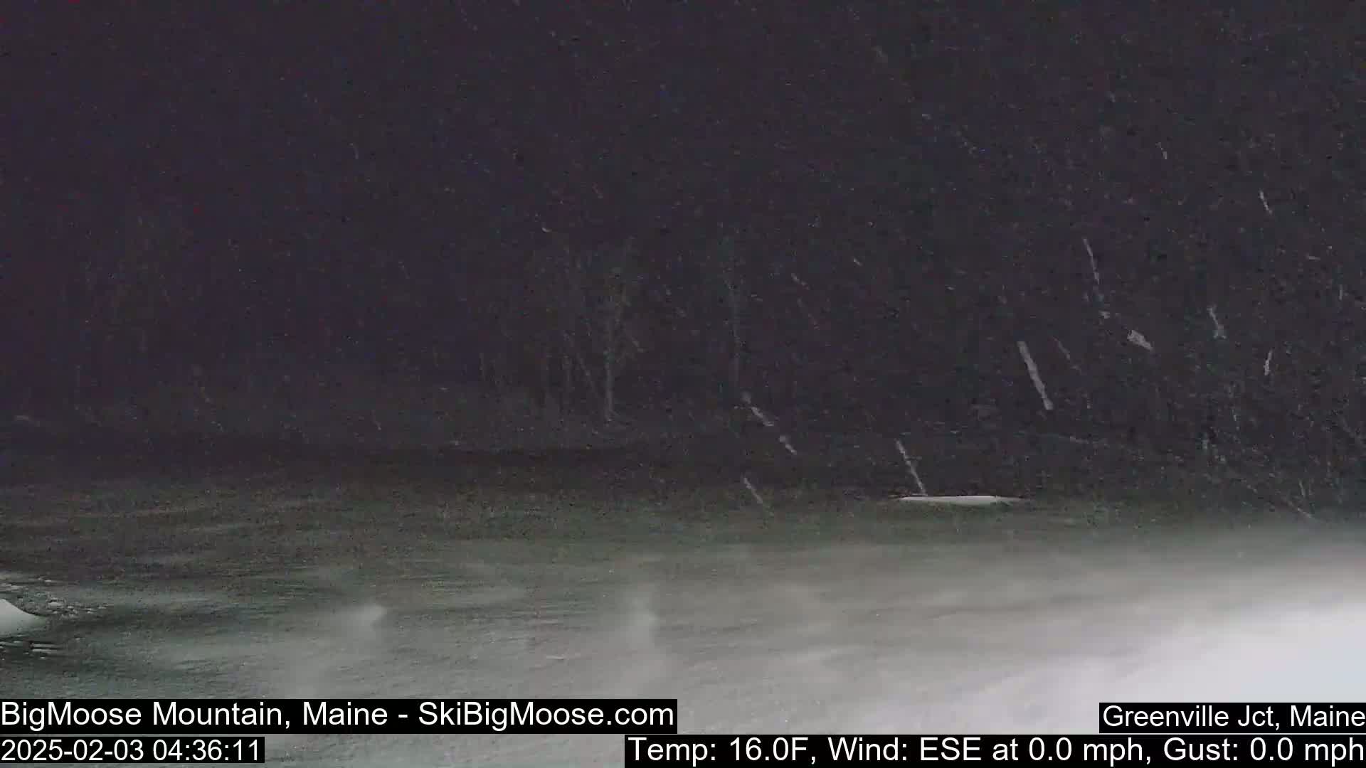 A nighttime snow scene shows a flat, snow-covered landscape under a dark sky with light snow falling.