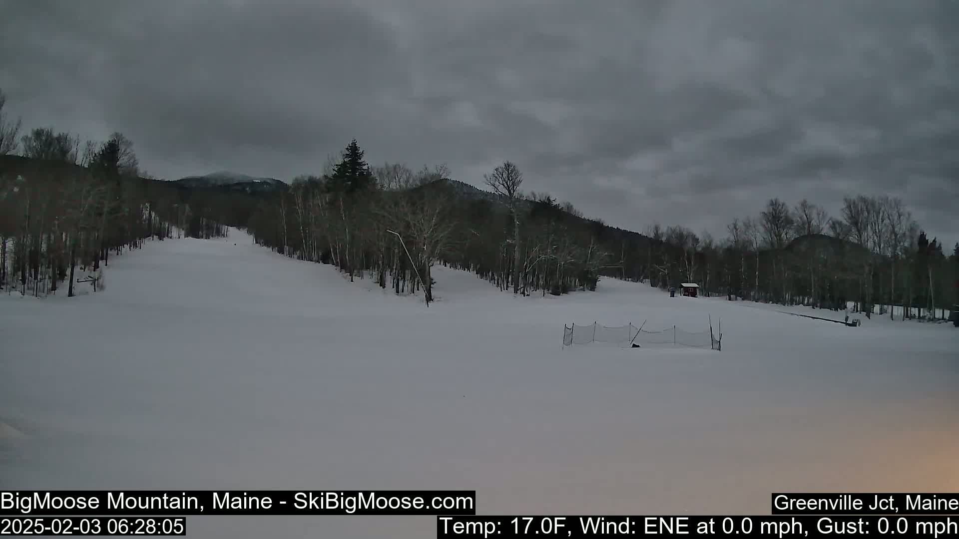 A snow-covered ski slope is visible under an overcast sky, with bare trees lining the hills in the background.