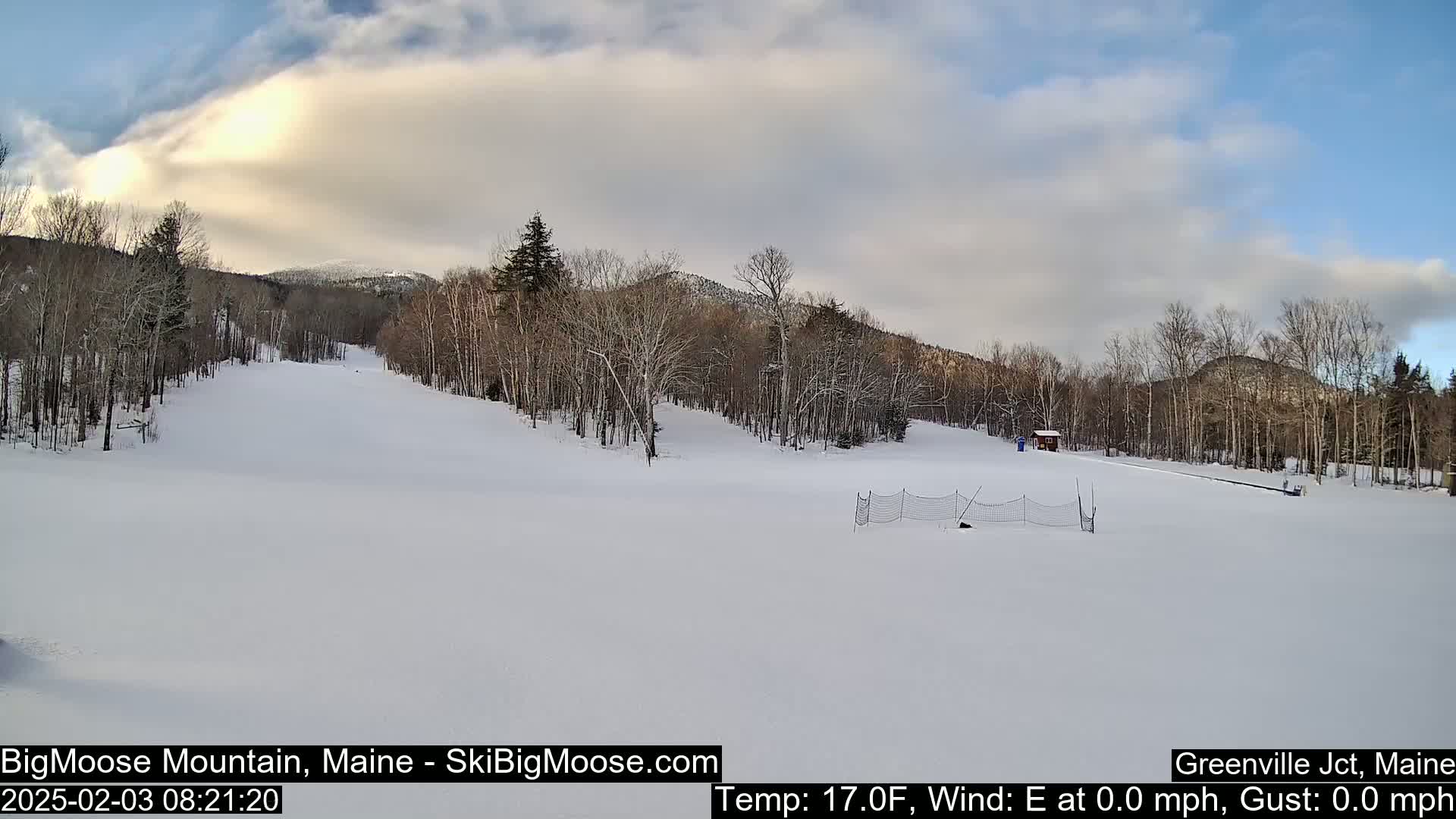 A snow-covered ski slope is nestled among bare, winter trees under a mostly cloudy sky.
