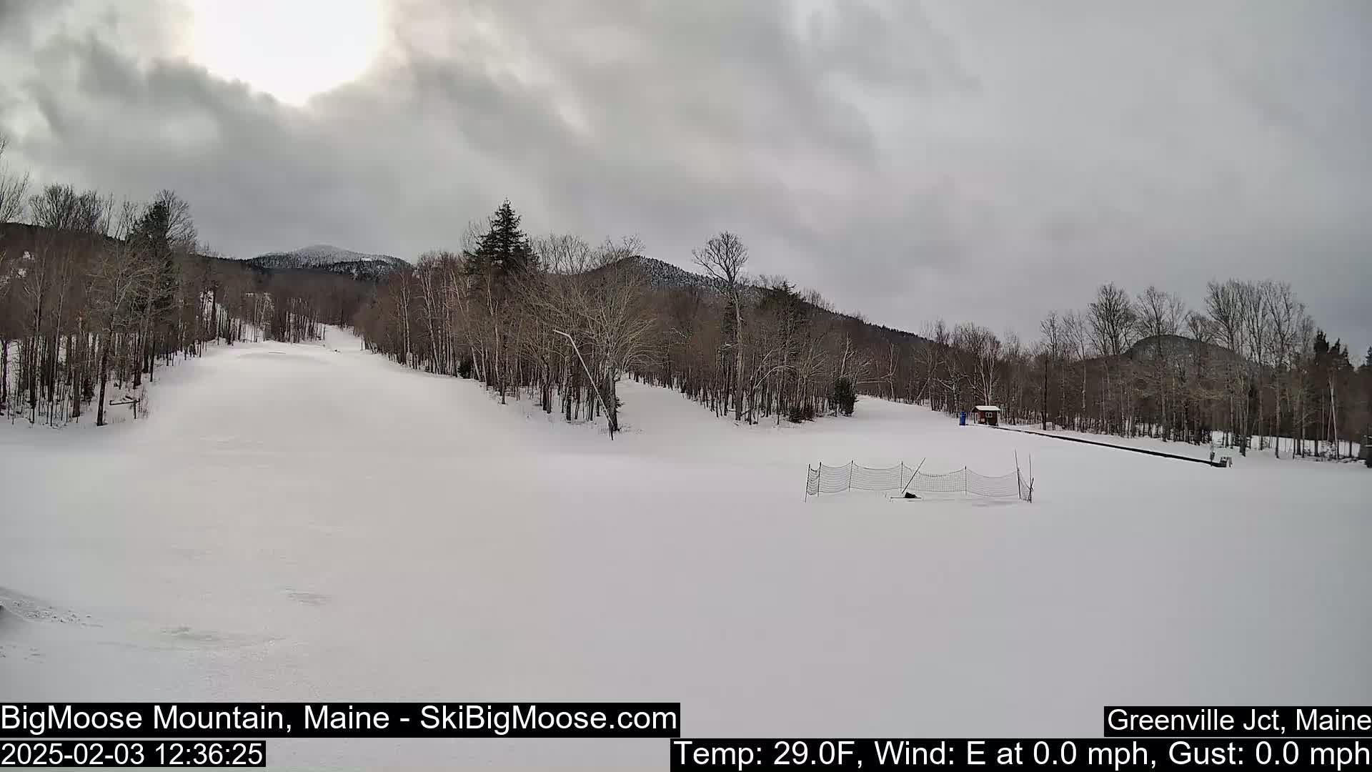 A snow-covered ski slope is nestled among leafless trees under an overcast sky.