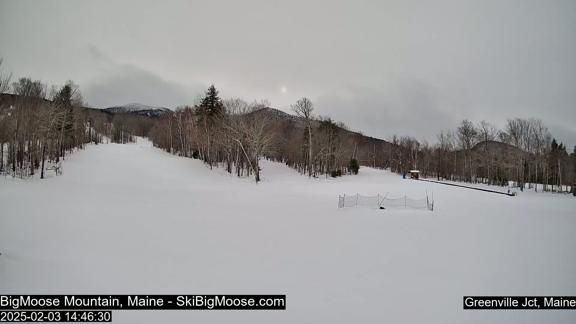 A snow-covered ski slope with leafless trees and a distant mountain range under an overcast sky.
