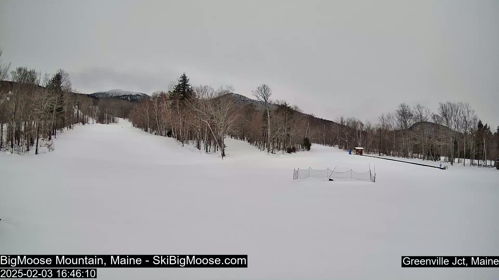 A snow-covered ski slope with leafless trees and distant mountains under an overcast sky.