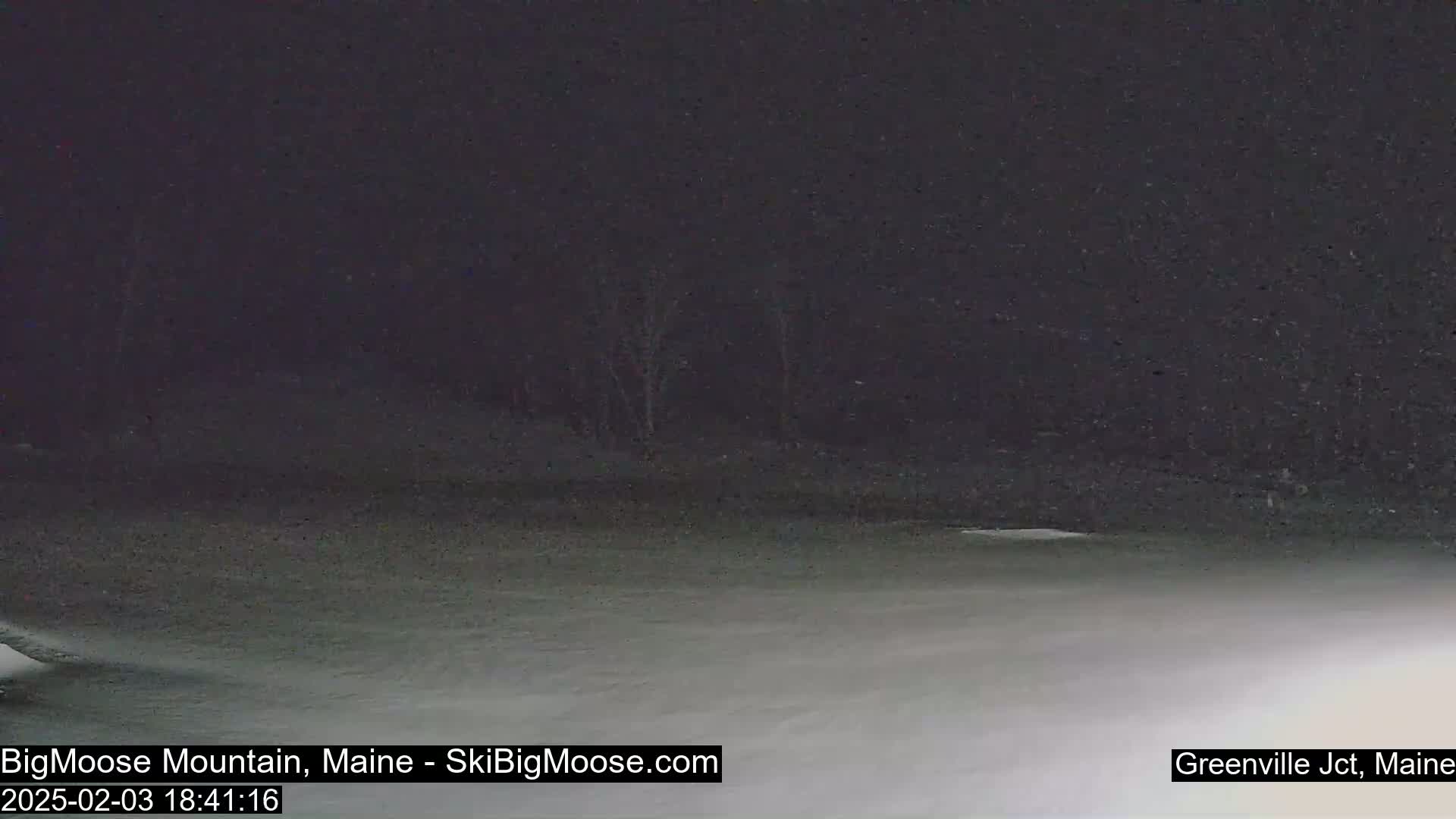 A snow-covered ground extends to a dark, snow-falling background under a night sky.