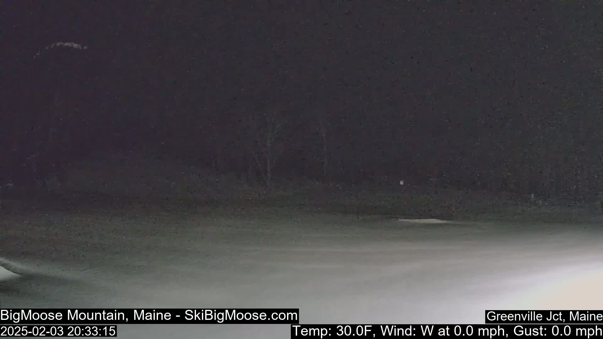 A nighttime, snowy scene shows a dark, sparsely treed area with a flat, snow-covered ground.