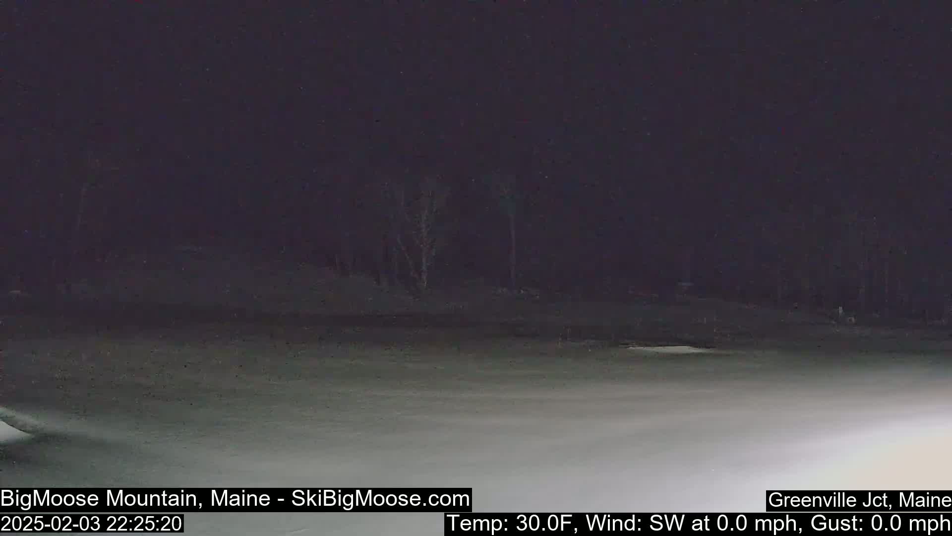 A snow-covered landscape is visible at night under a dark sky, with a few bare trees in the background.