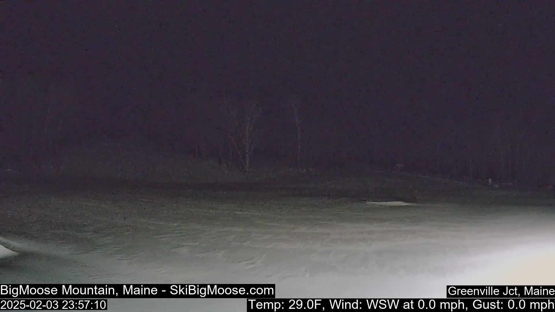 A snow-covered area at night, with dark trees in the background under a dark sky.