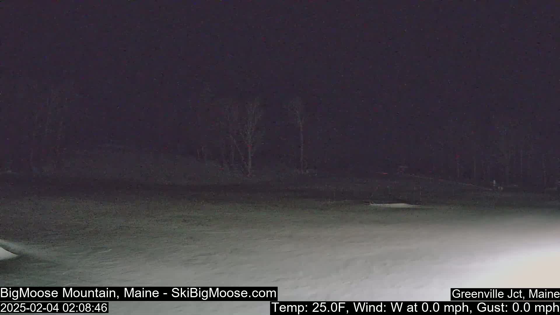 A nighttime view of a snow-covered ground with sparsely spaced trees in the background under a dark sky.
