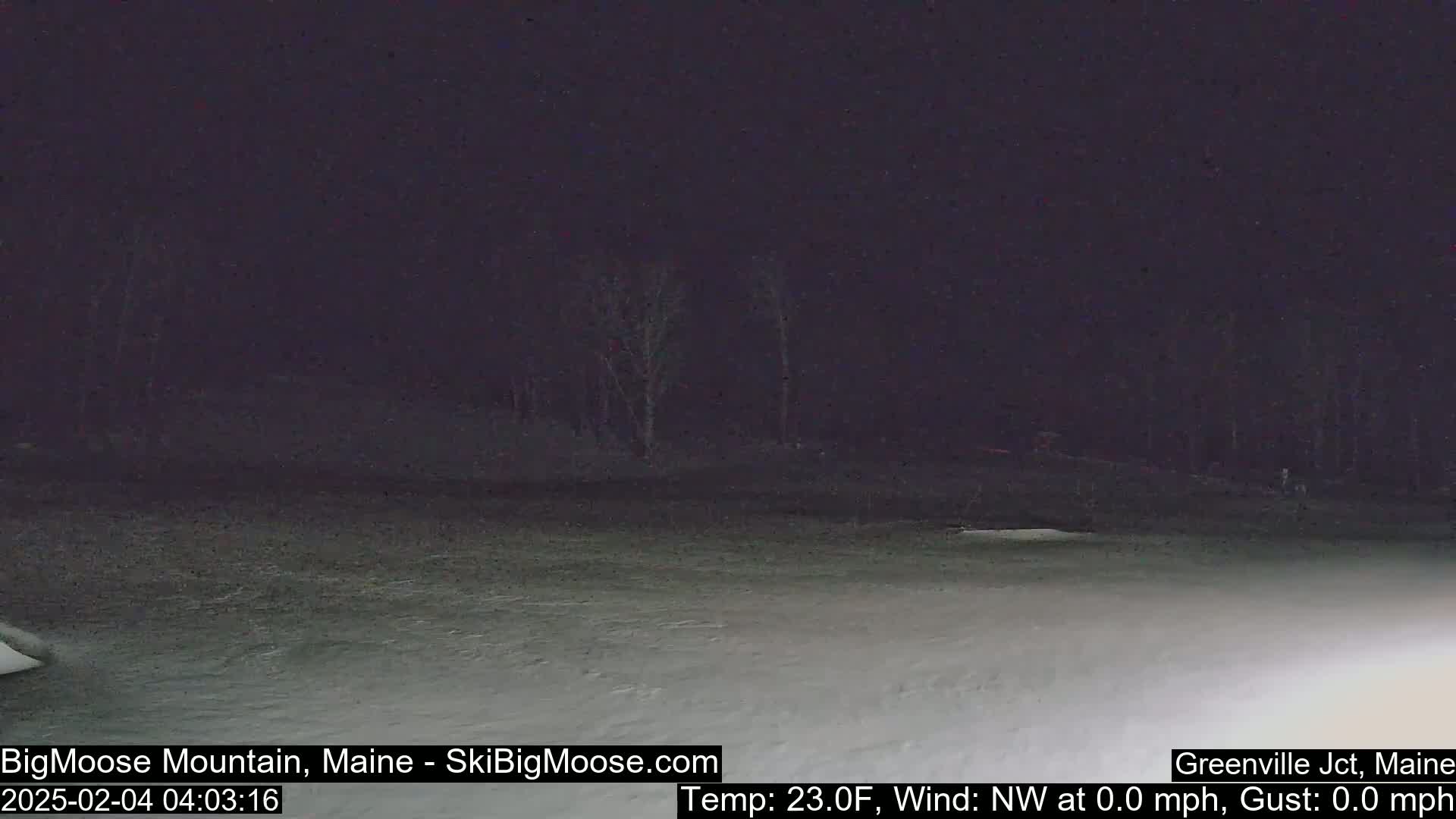 A nighttime view of a snow-covered ground with a dark treeline in the background, under calm conditions.