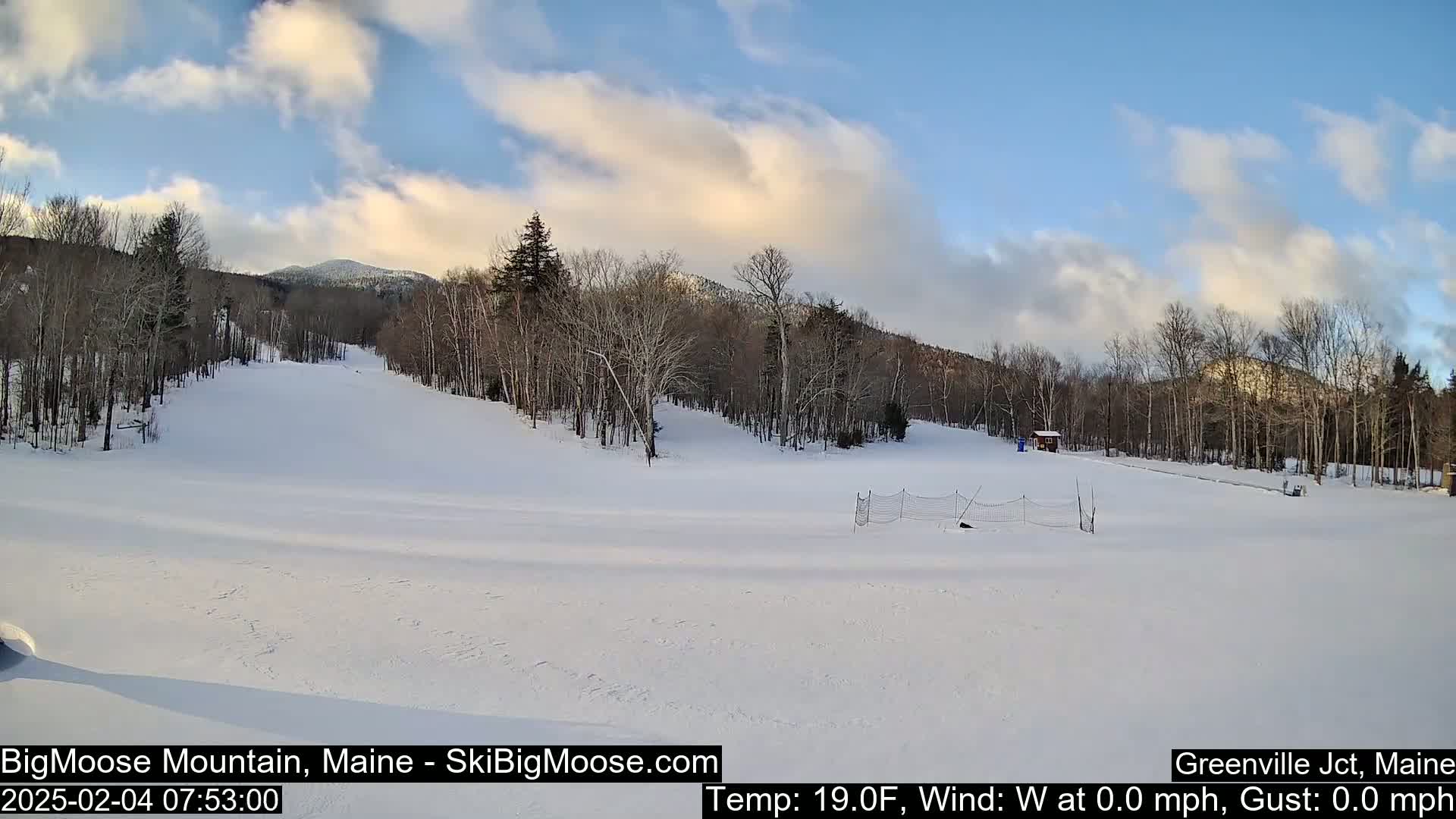 A snow-covered ski slope with leafless trees and a mountain in the background under a partly cloudy sky.