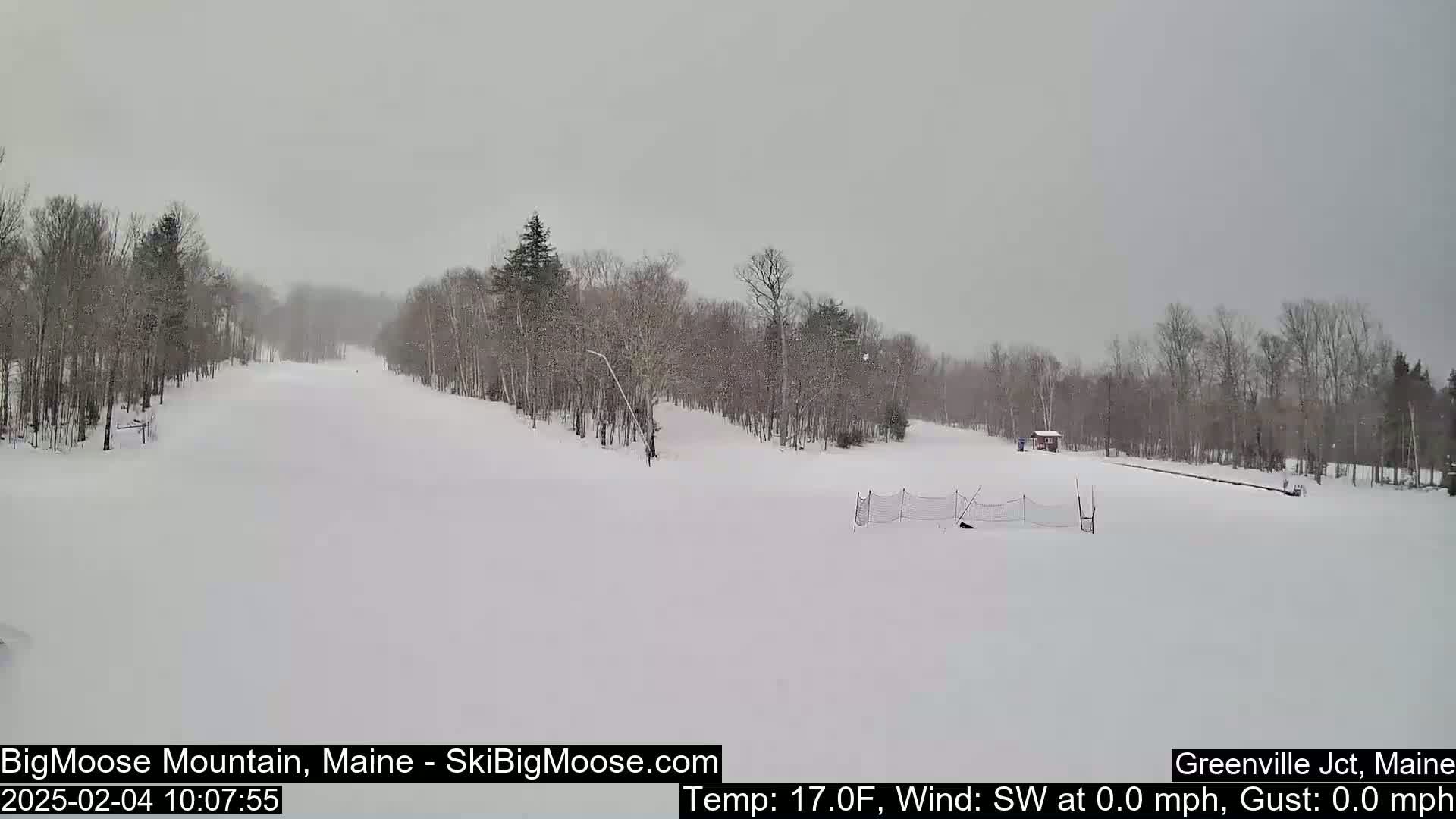A snow-covered ski slope is visible, with bare trees lining the sides under a lightly snowing, overcast sky.