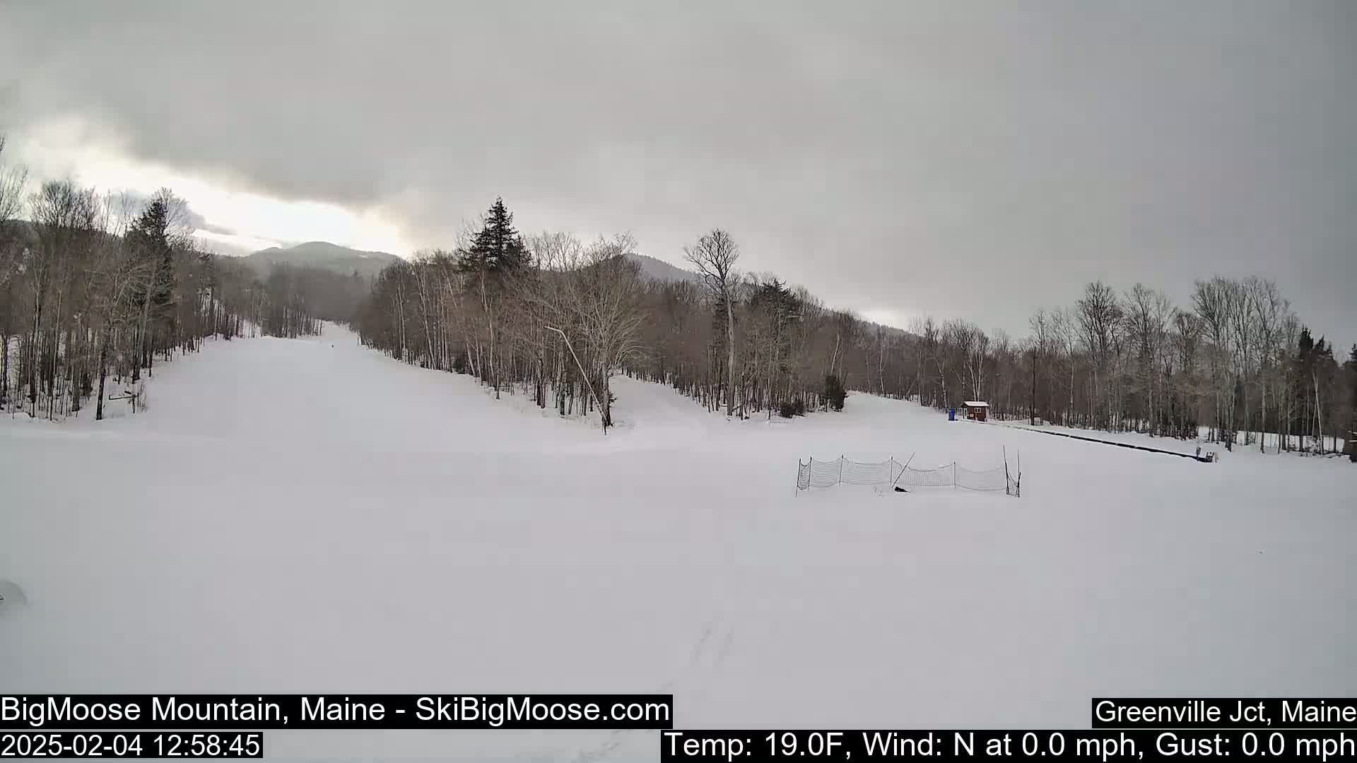 A snow-covered ski slope is surrounded by leafless trees under an overcast sky.