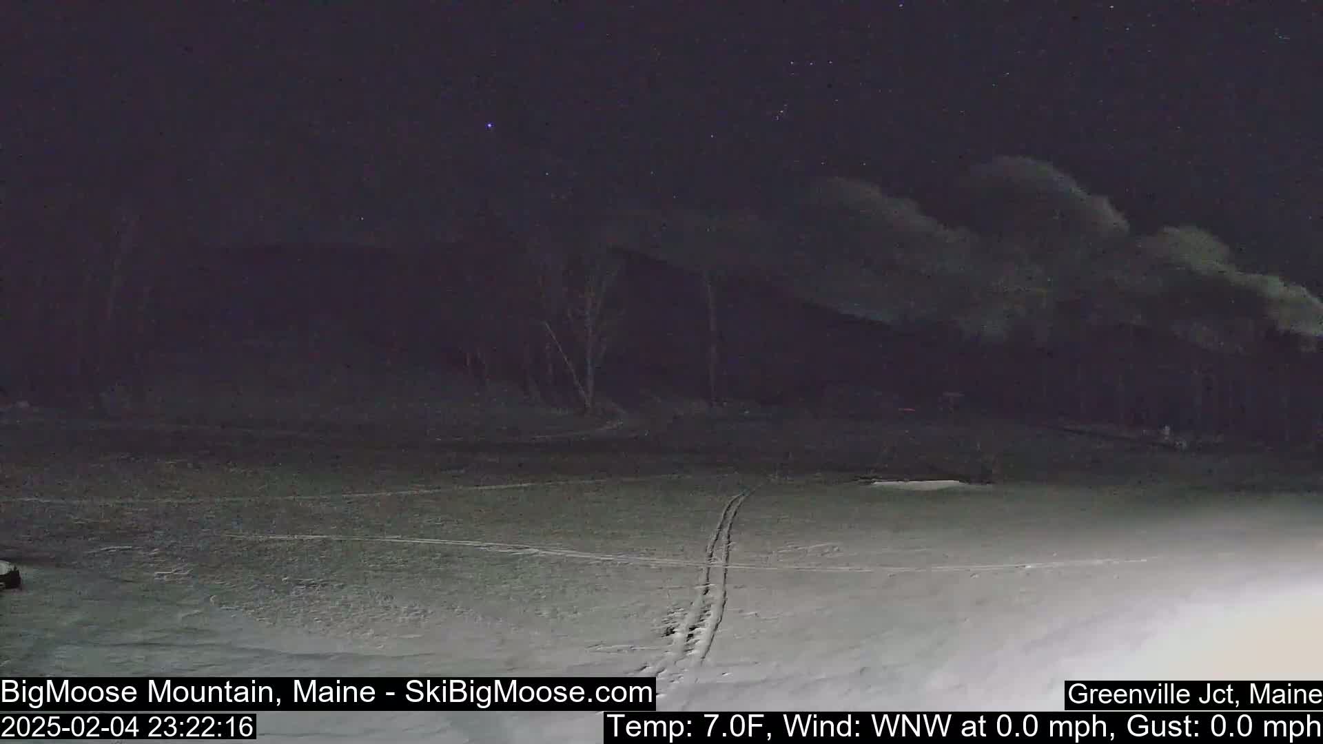 A snow-covered field at night, under a partly cloudy sky, shows faint tracks in the snow and a dark treeline in the background.