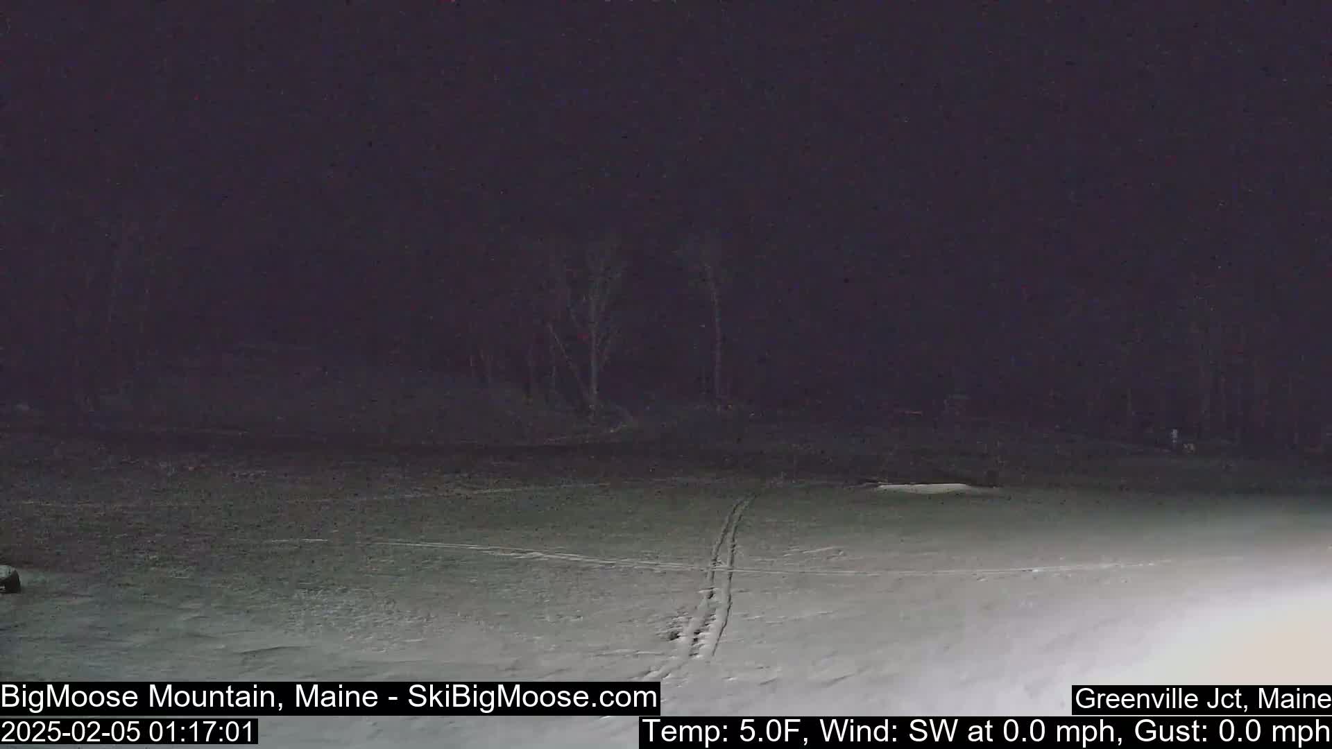 A snow-covered field is visible at night under a dark sky, with a few dark trees in the background.