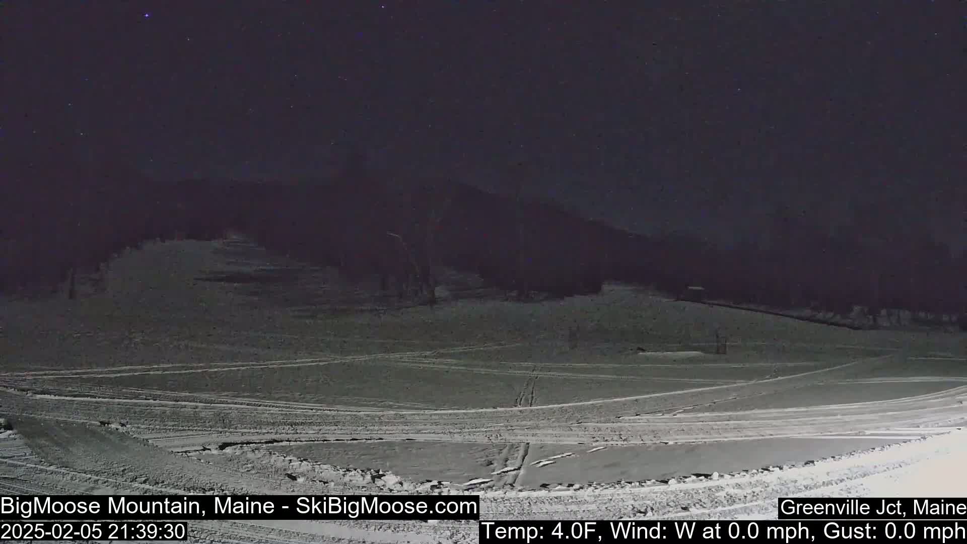 A snow-covered landscape at night under a clear, starry sky.
