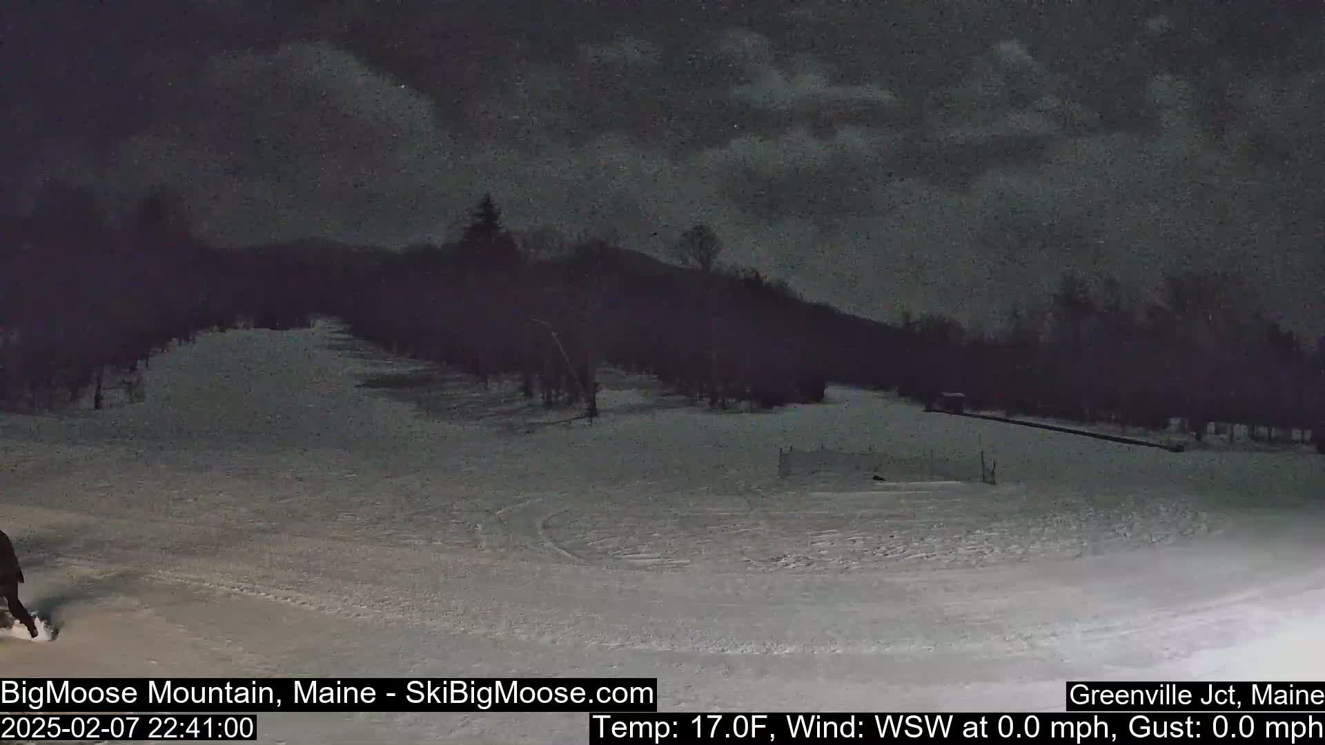 A snow-covered landscape at night under a mostly cloudy sky, showing a sparsely wooded area with a slight incline.