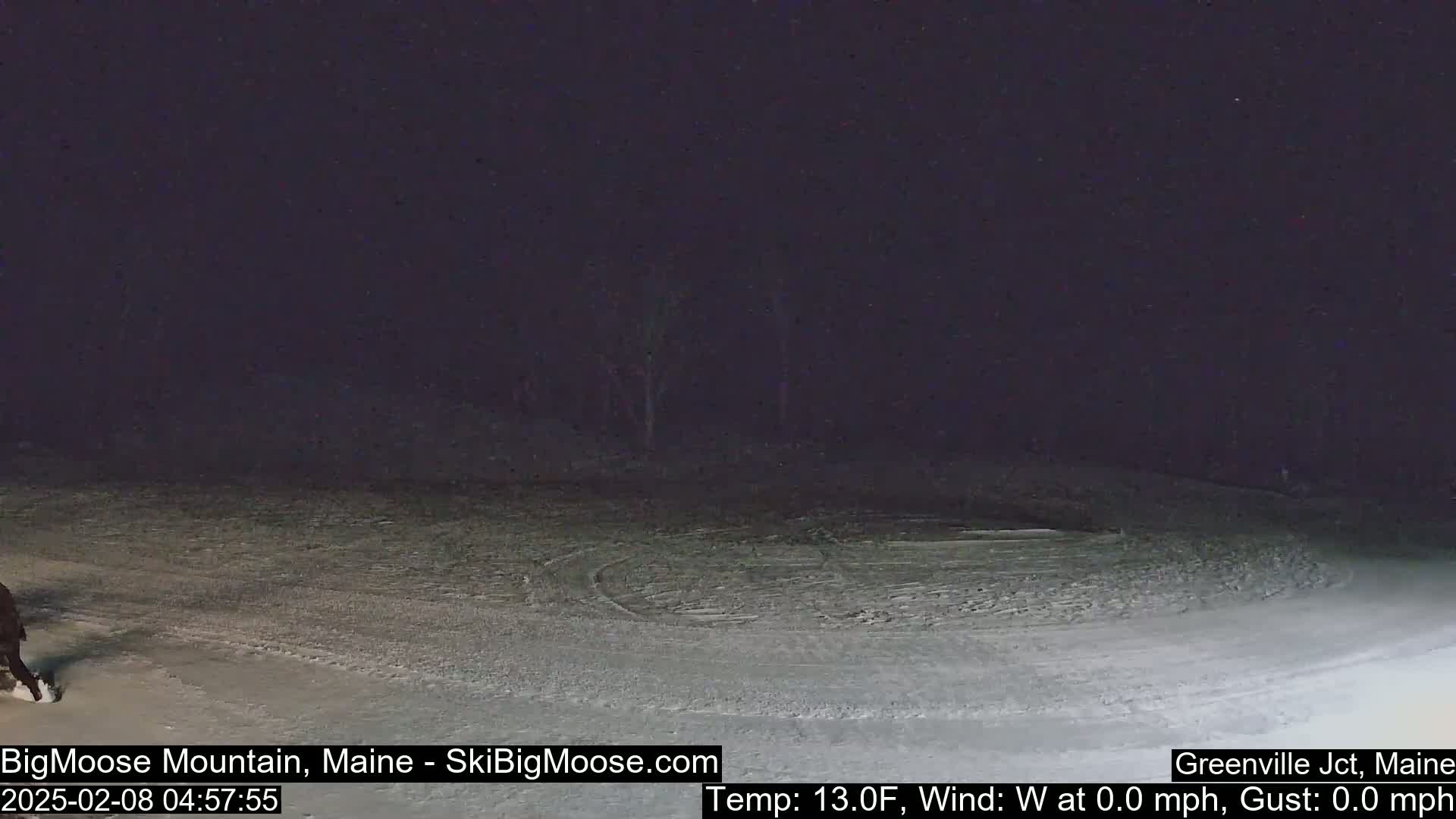 A snow-covered area at night with a dark sky, showing tire tracks and a dark figure in the lower-left corner.