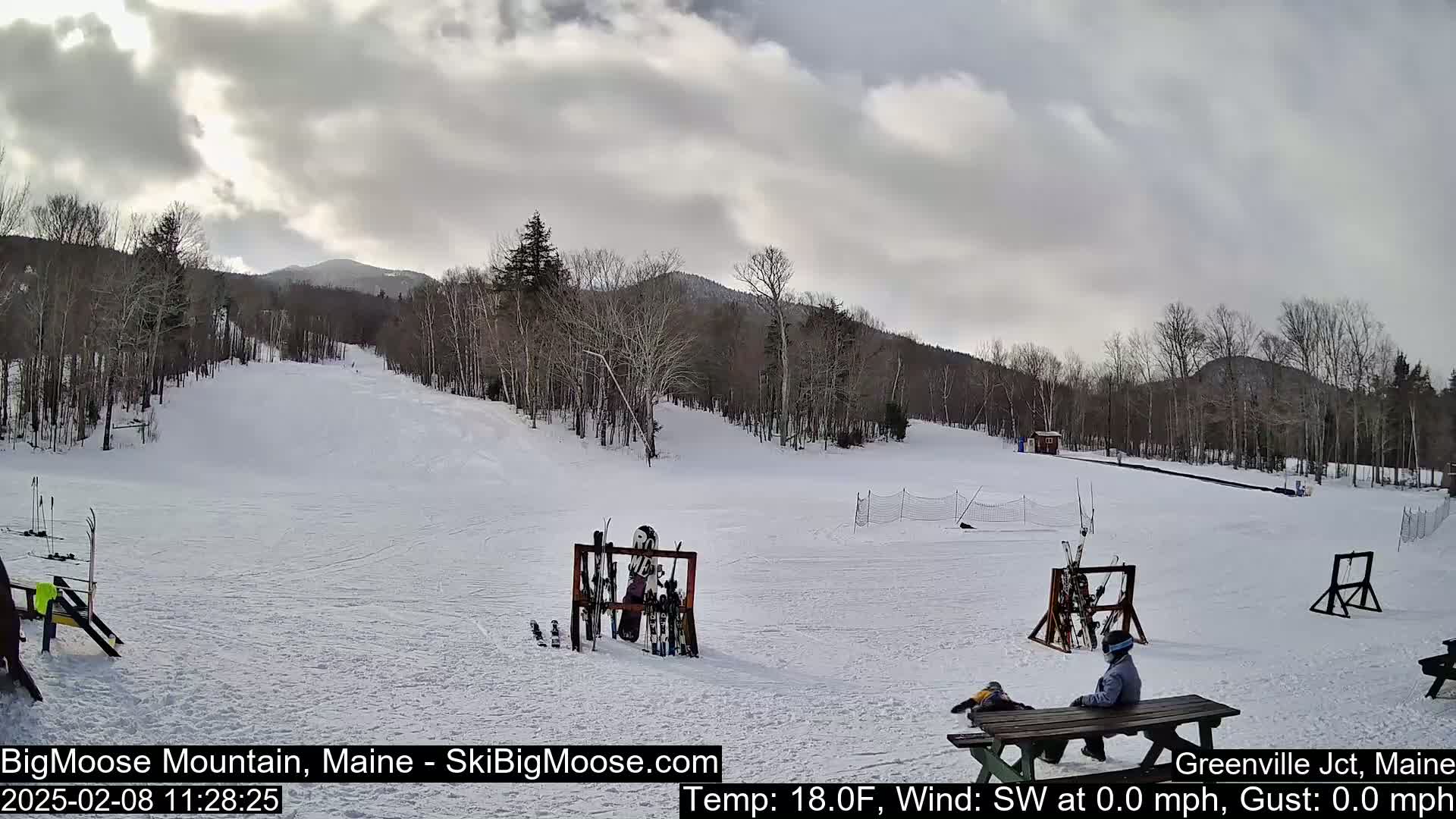 A snow-covered ski slope with sparsely populated trees and mountains in the background under a cloudy sky.