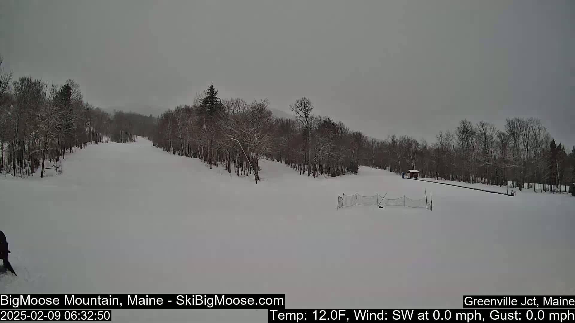 A snow-covered ski slope is visible under an overcast sky, with bare trees lining the sides and a small building in the distance.