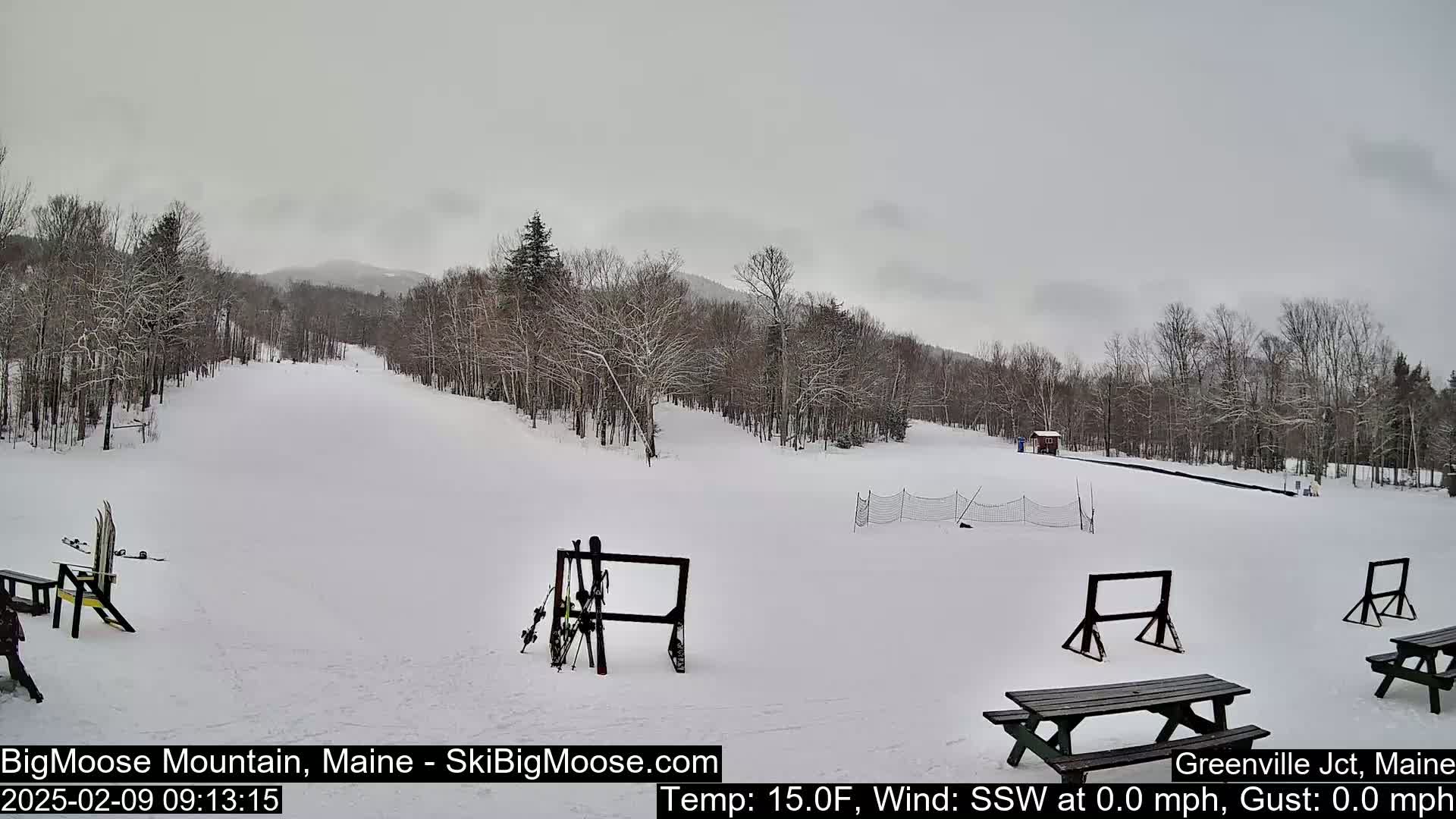 A snow-covered ski slope is viewed on an overcast day, with snow-laden trees lining the perimeter and picnic tables and ski racks scattered across the area.