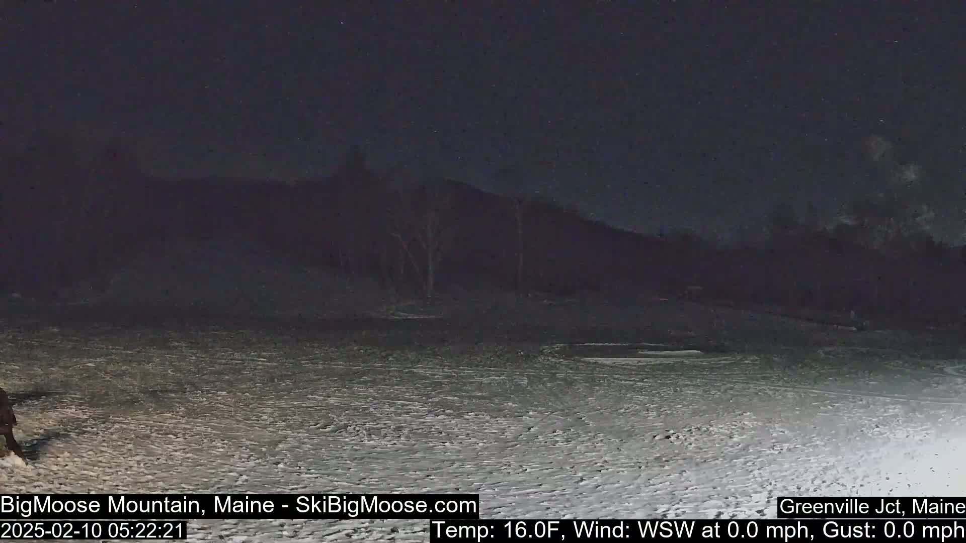 A snow-covered ground extends to a dark, snow-covered hillside under a night sky.