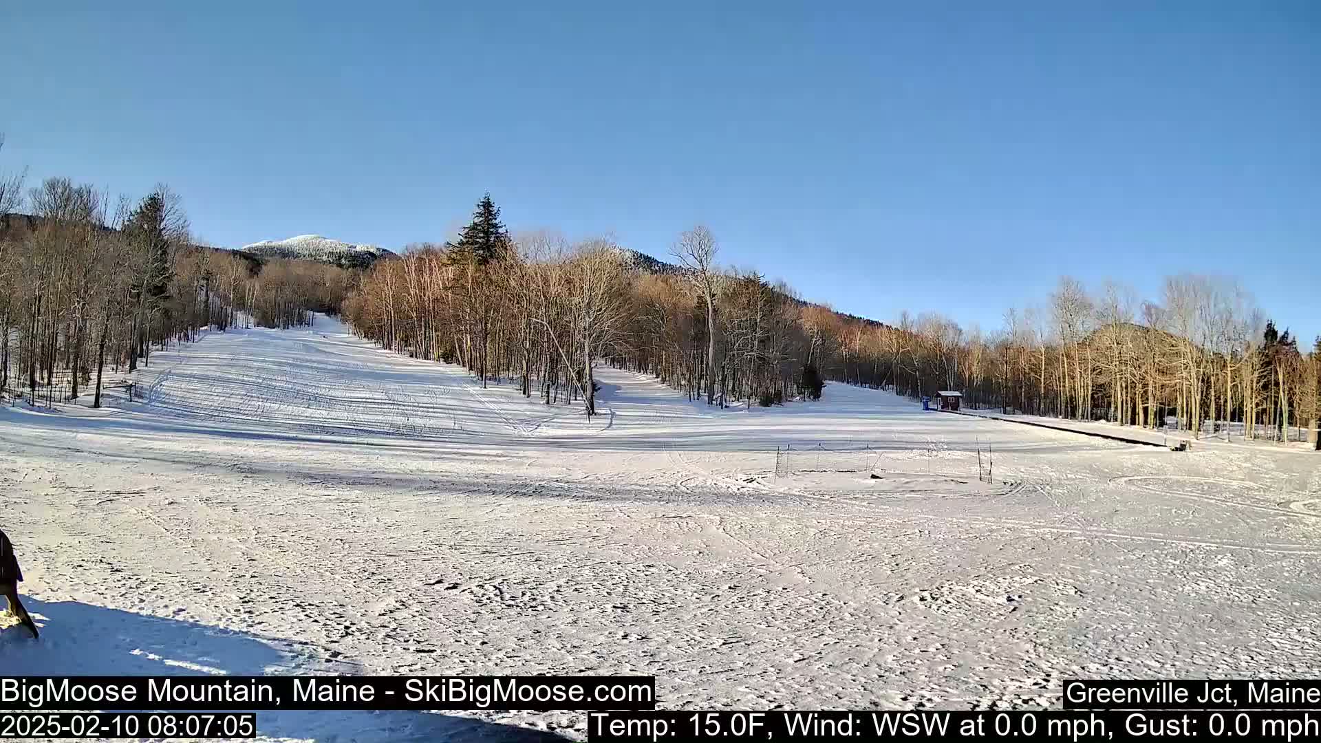 A snow-covered ski slope with bare deciduous trees and a mountain in the background under a clear blue sky.