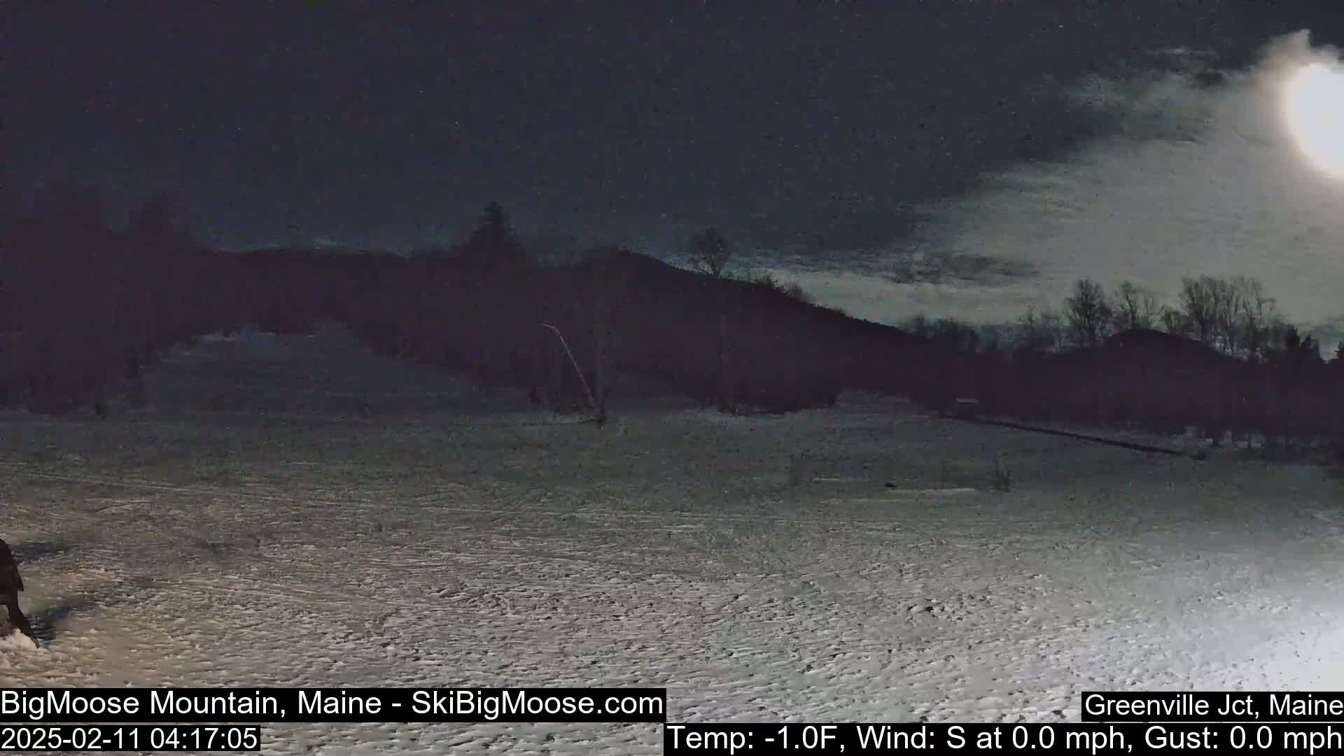 A snow-covered landscape is visible under a dark, partly cloudy night sky.