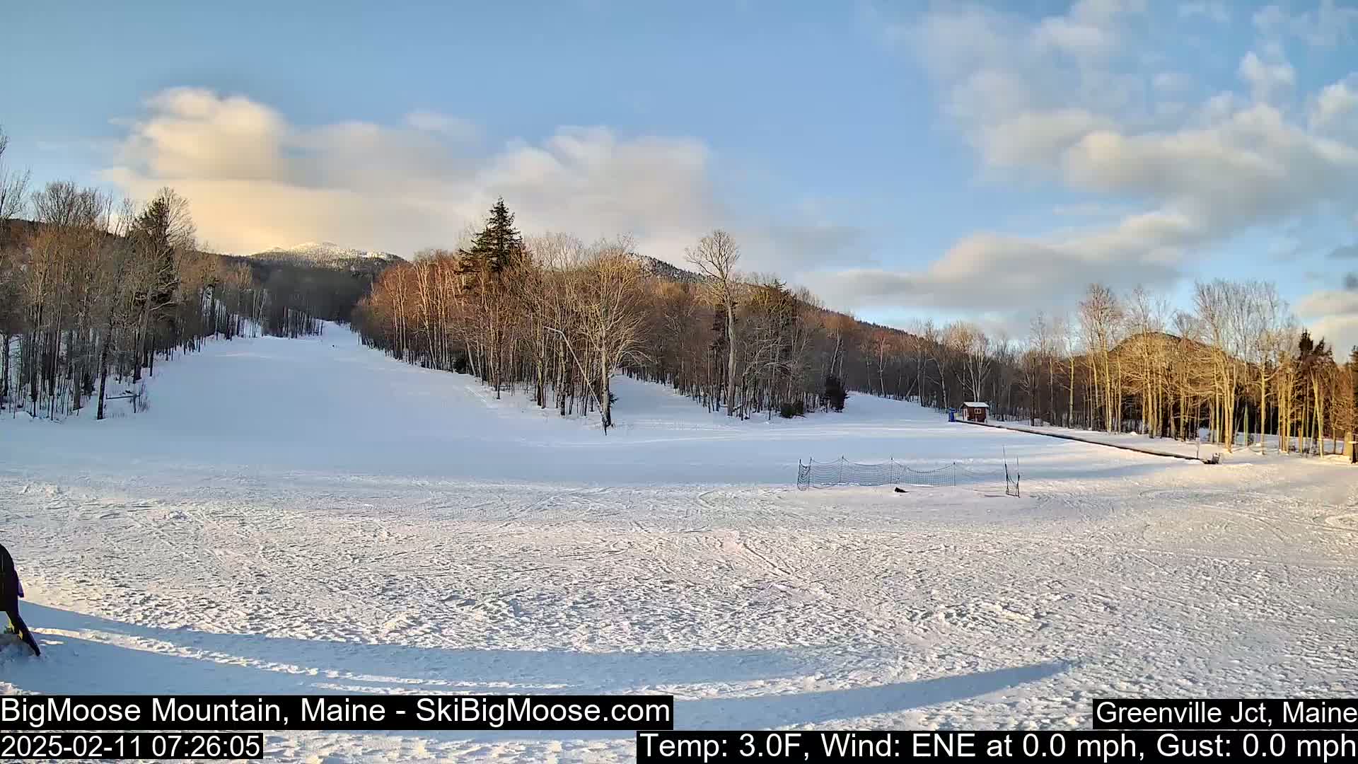 A snow-covered ski slope stretches towards a line of bare trees and mountains under a mostly clear, light blue sky.