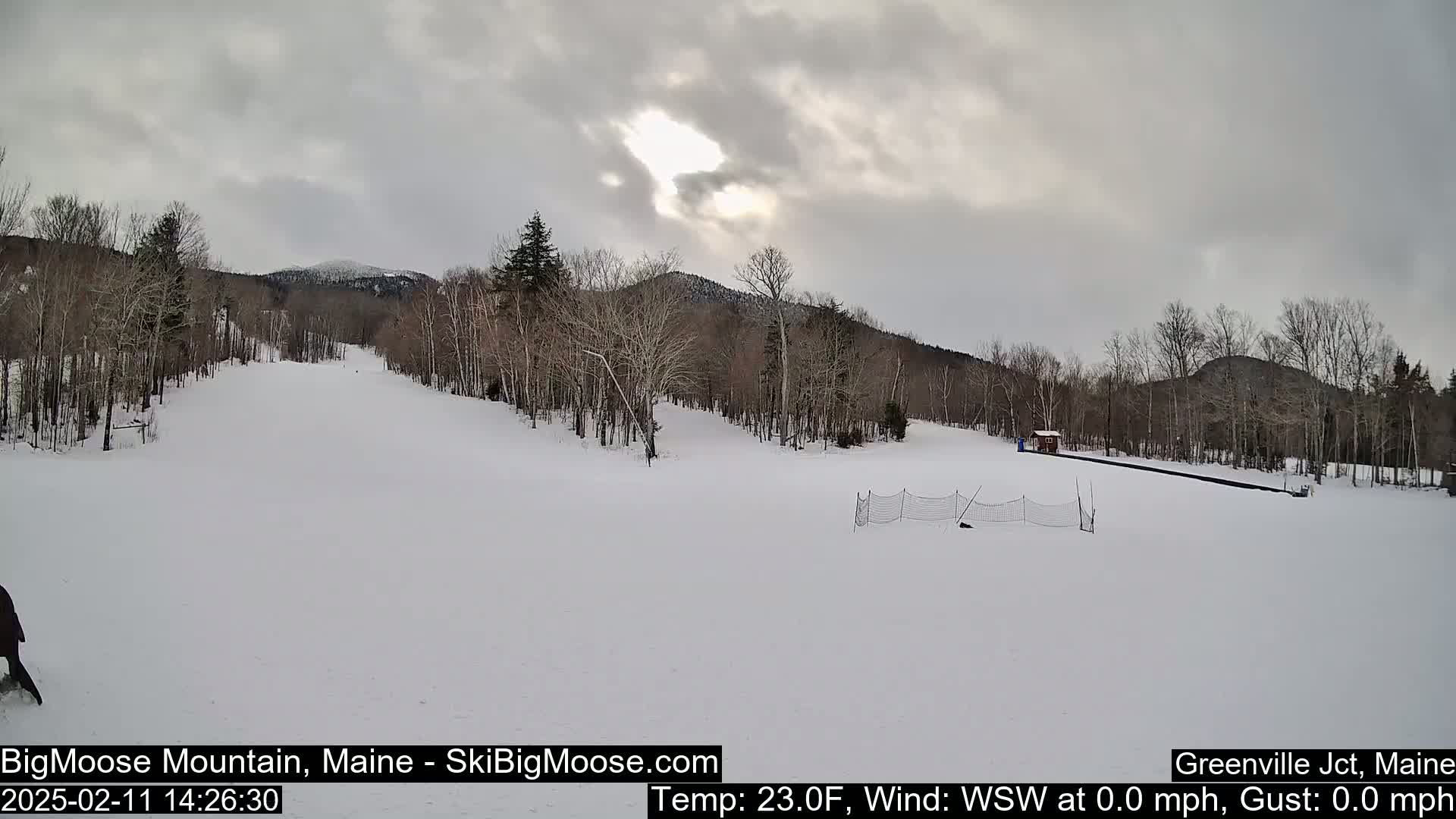 A snow-covered ski slope stretches towards a line of bare trees and a distant mountain under an overcast sky.