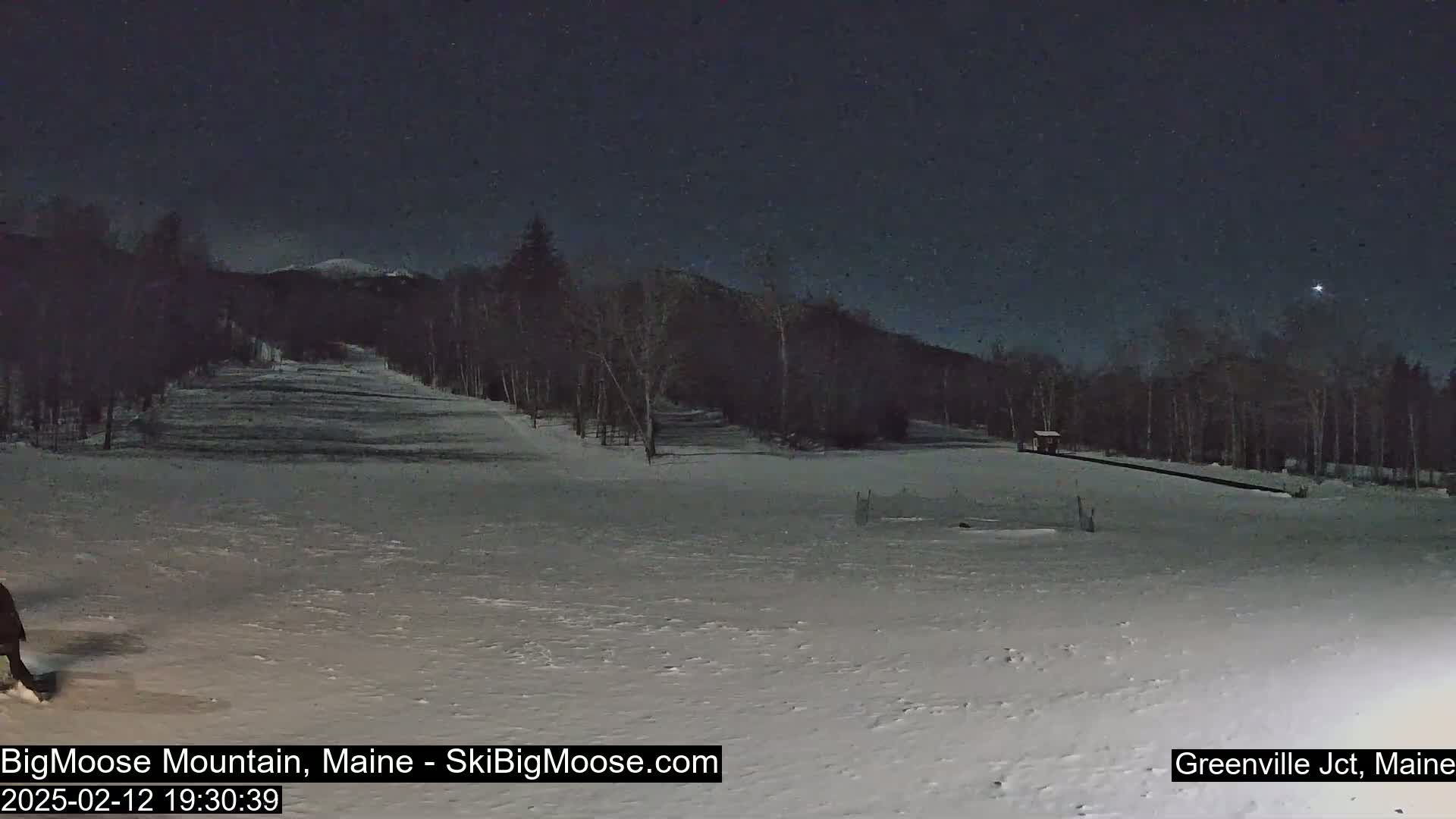 A snow-covered ski slope at night, under a dark, clear sky, with a line of trees and mountains in the background.