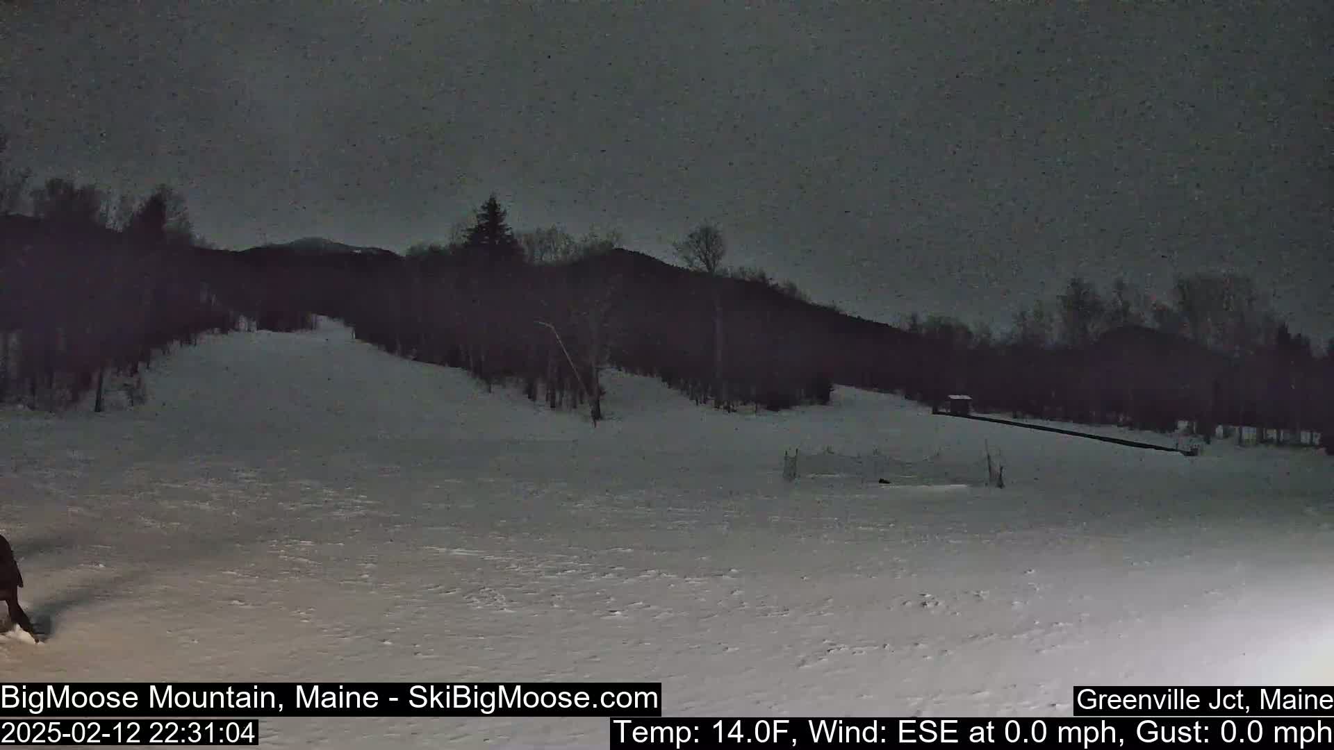 A snow-covered slope at night under a dark, overcast sky.
