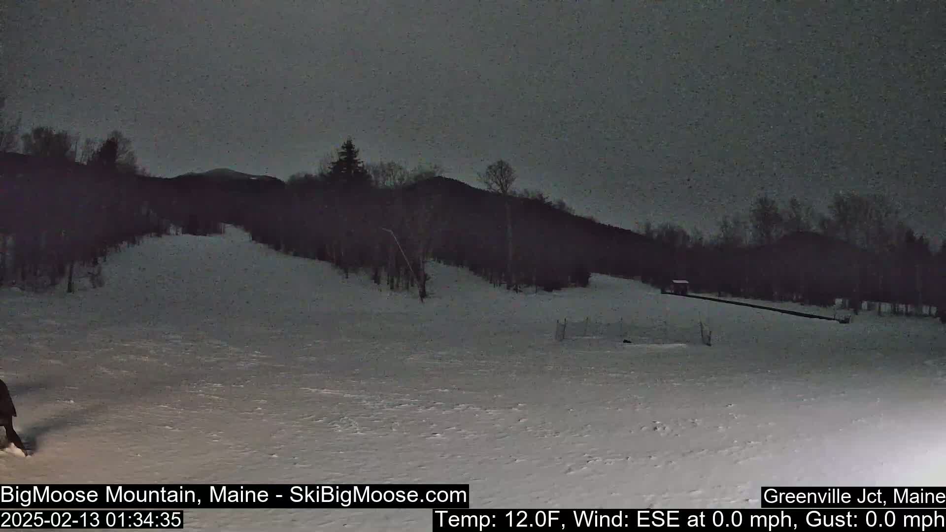 A snow-covered slope at night, under a dark sky, with a treeline in the background.
