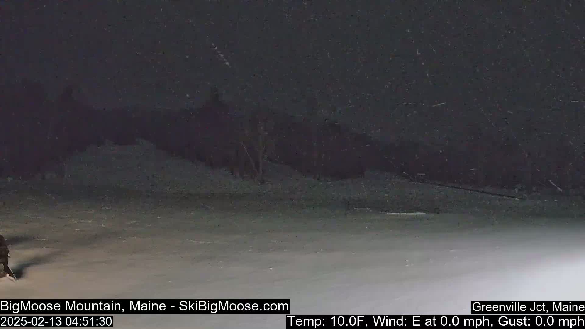 A nighttime, snowy scene shows a flat, snow-covered area with dark trees in the background under a falling snow.