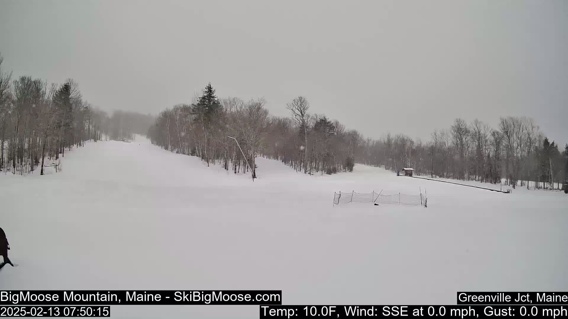 A snow-covered ski slope is visible, surrounded by bare, snow-dusted trees under an overcast sky.