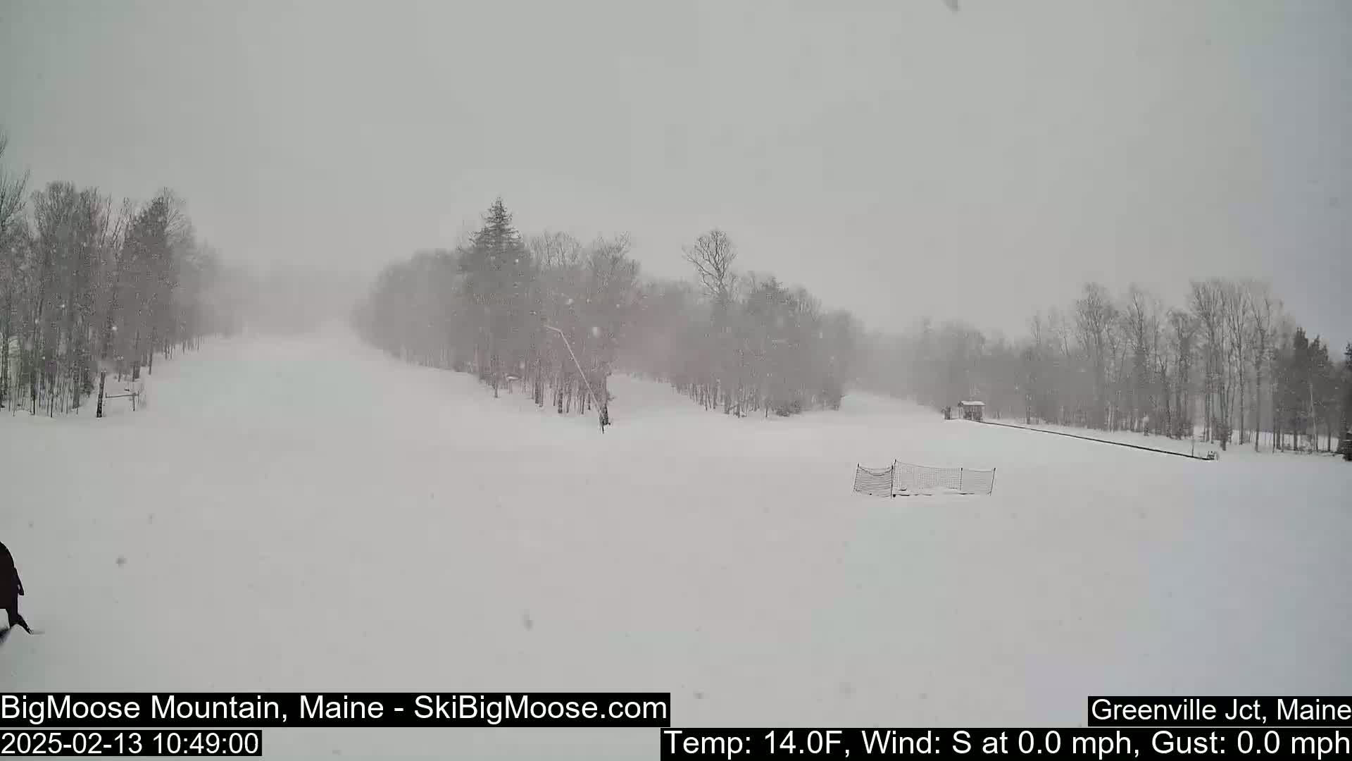 A snow-covered ski slope is visible through falling snow, with bare trees lining the sides.
