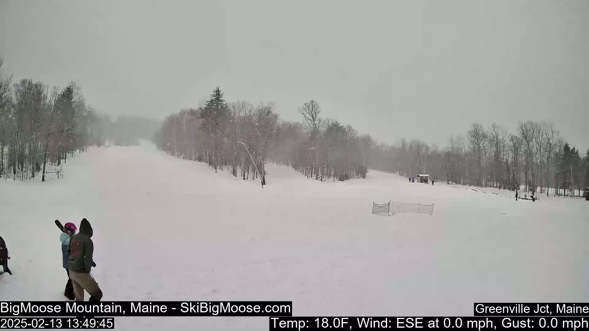 A snow-covered ski slope with sparsely wooded areas on either side, under a light snowfall, with a few people visible near the bottom.