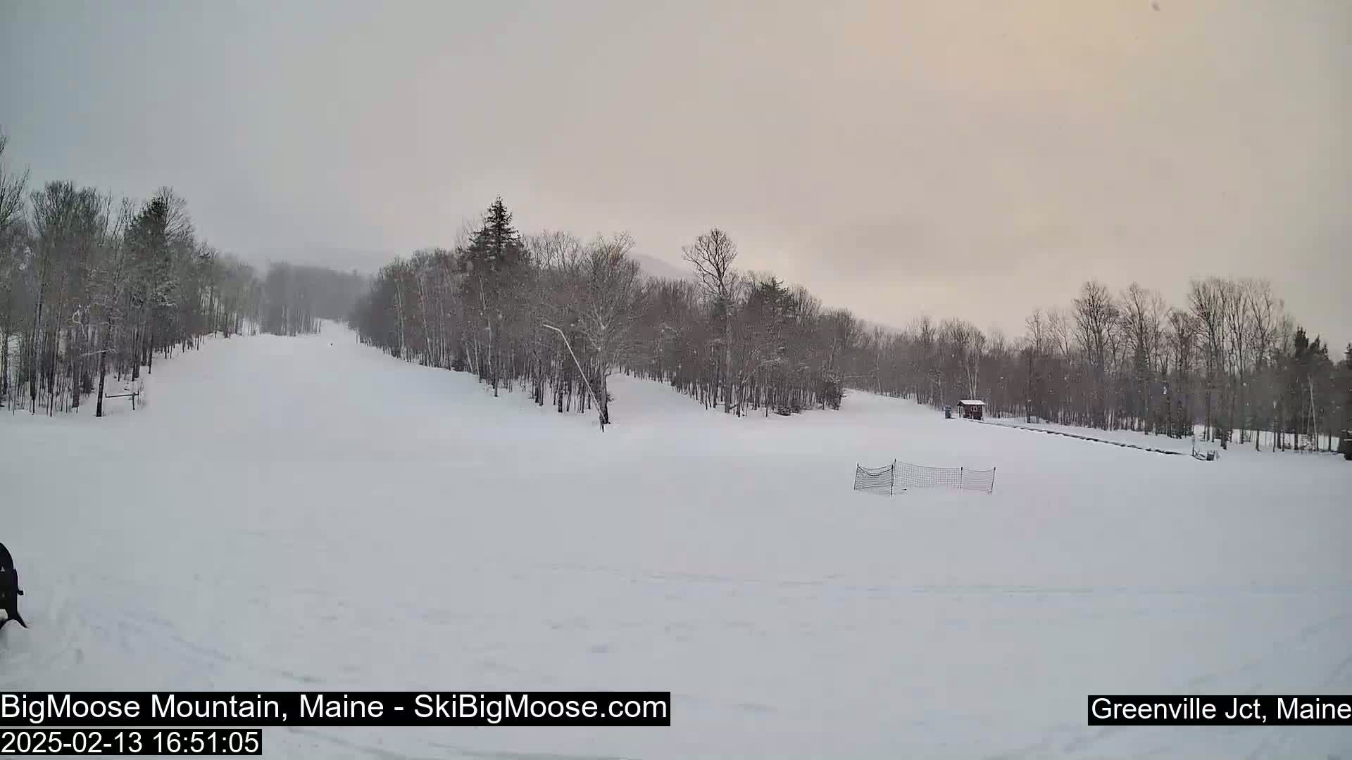A snow-covered ski slope with leafless trees under an overcast sky.