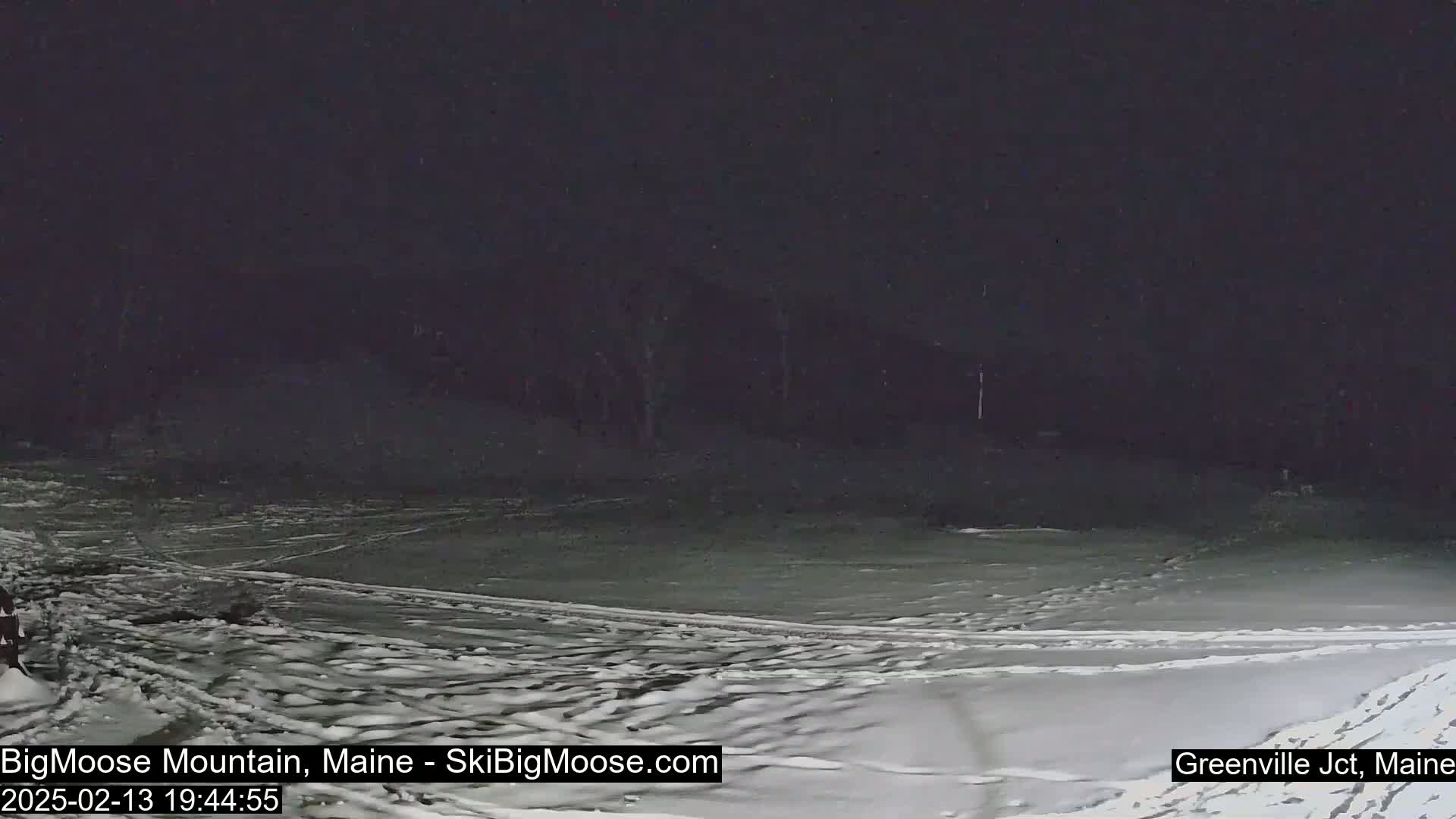 A snow-covered, dark area with a few tracks in the snow under a night sky with light snow falling.