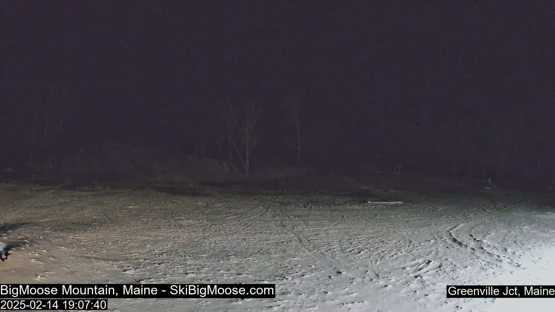 A snow-covered ground stretches out under a dark night sky, with a few dark trees visible in the distance.
